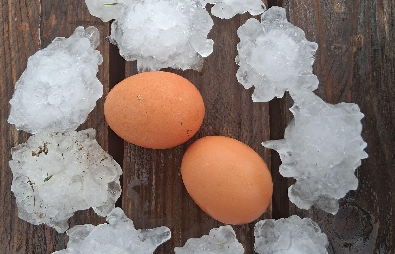 Toča v Ponikvi pri Žalcu