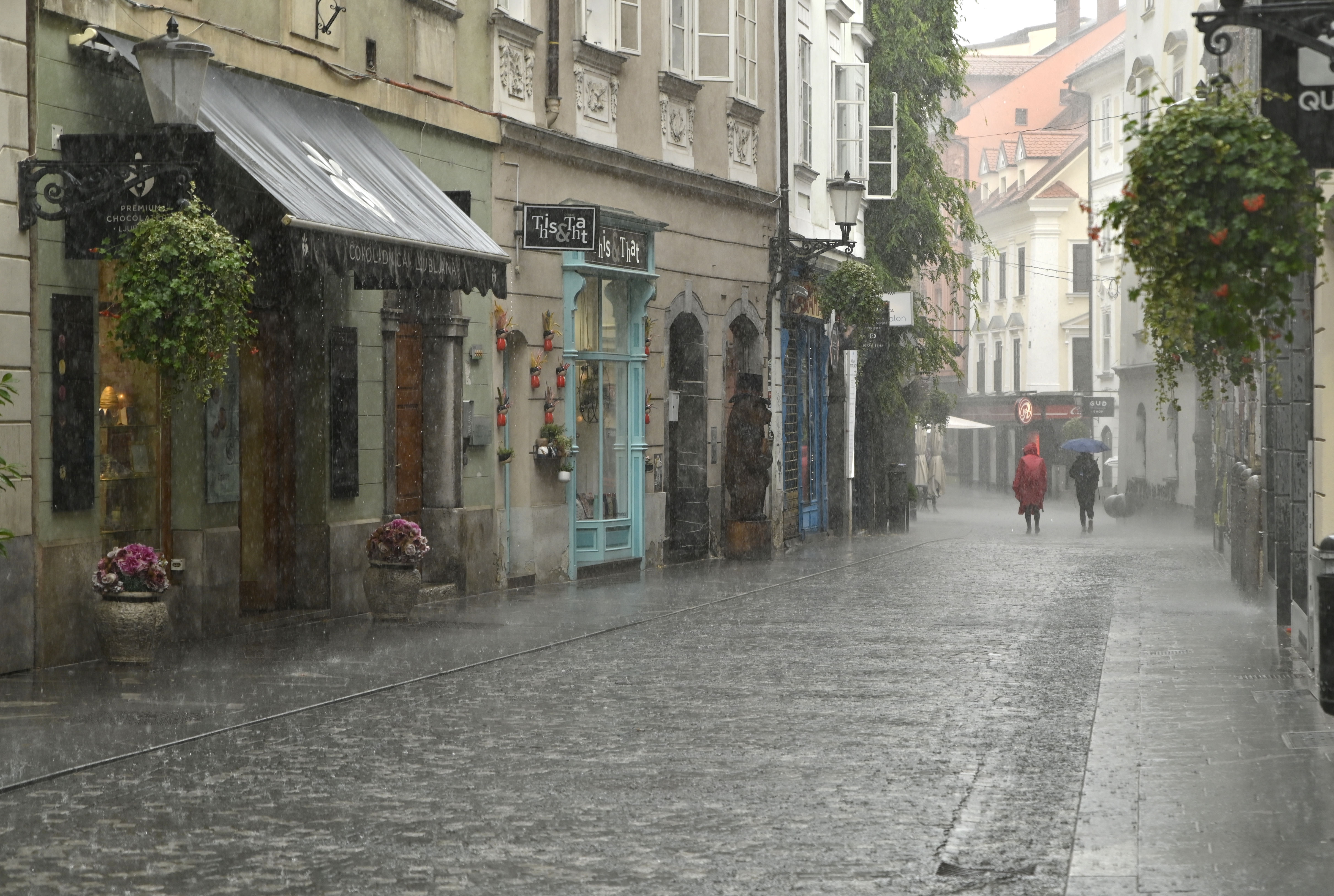 Ploha v stari Ljubljani