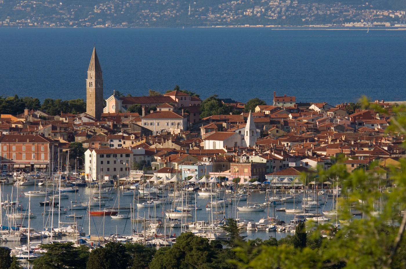 Izola