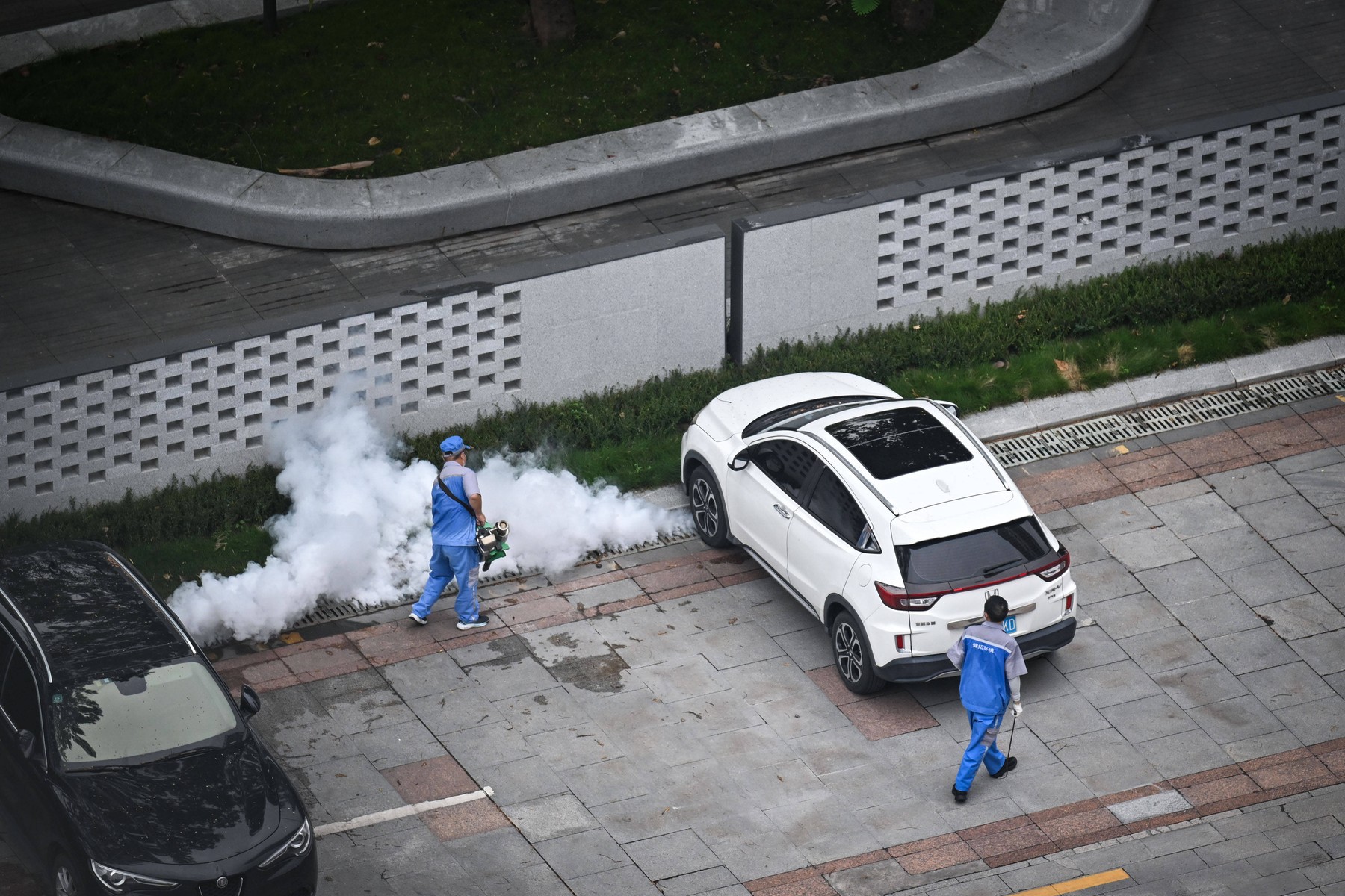 Na Kitajskem več tisoč primerov virusa čikungunja
