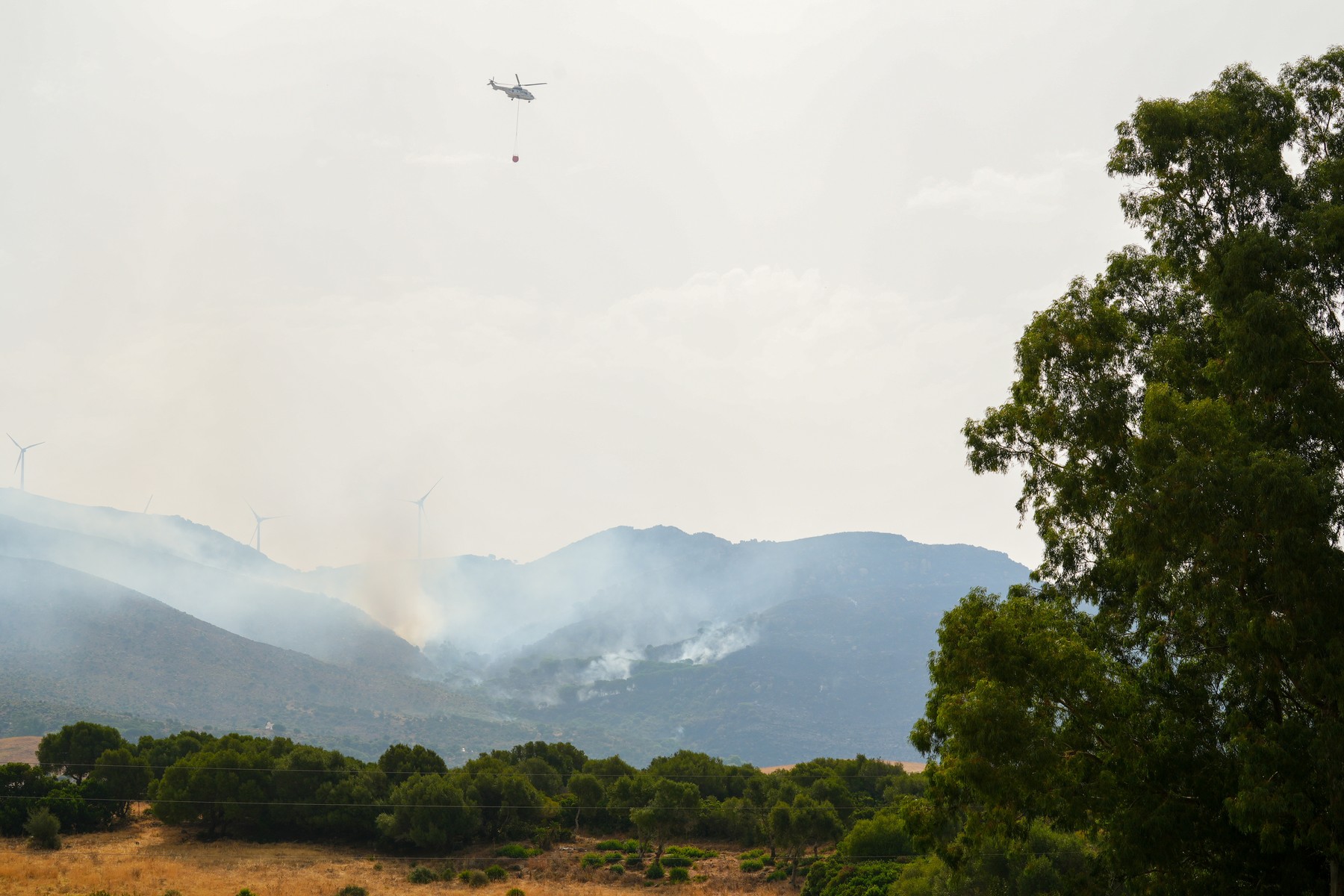 V bližini priljubljenega letovišča Tarifa na jugu Španije je v torek izbruhnil gozdni požar