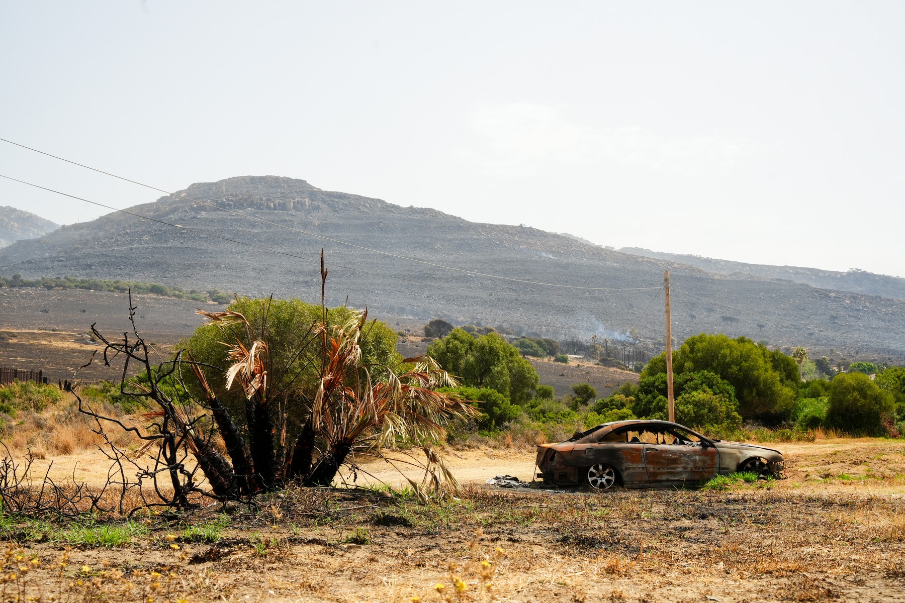 V bližini priljubljenega letovišča Tarifa na jugu Španije je v torek izbruhnil gozdni požar