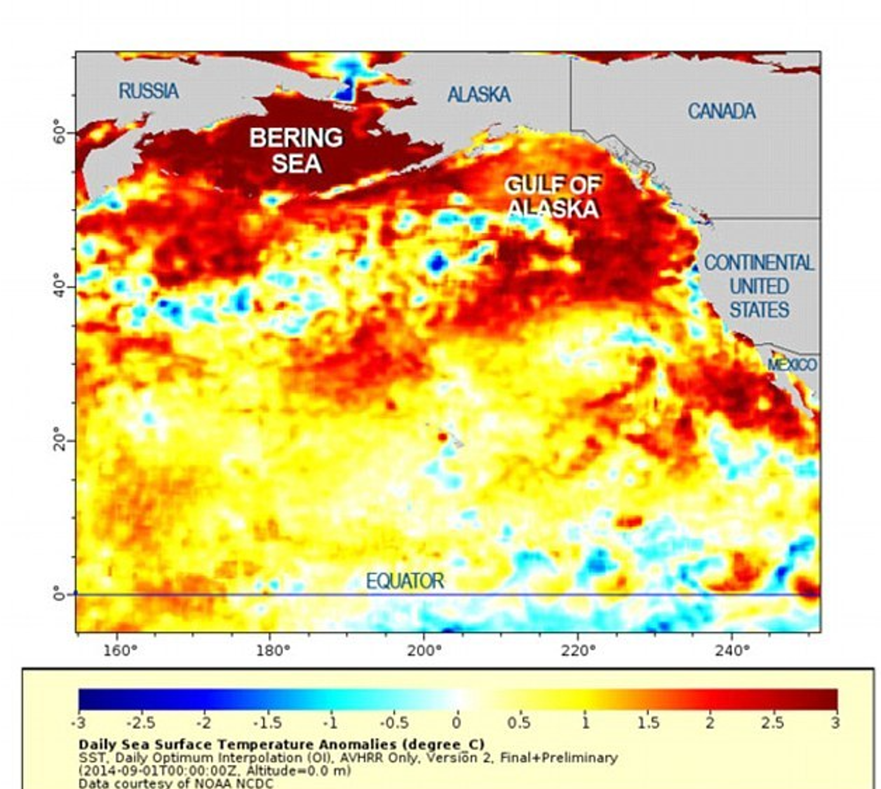 blob packa Foto WIKIPEDIA