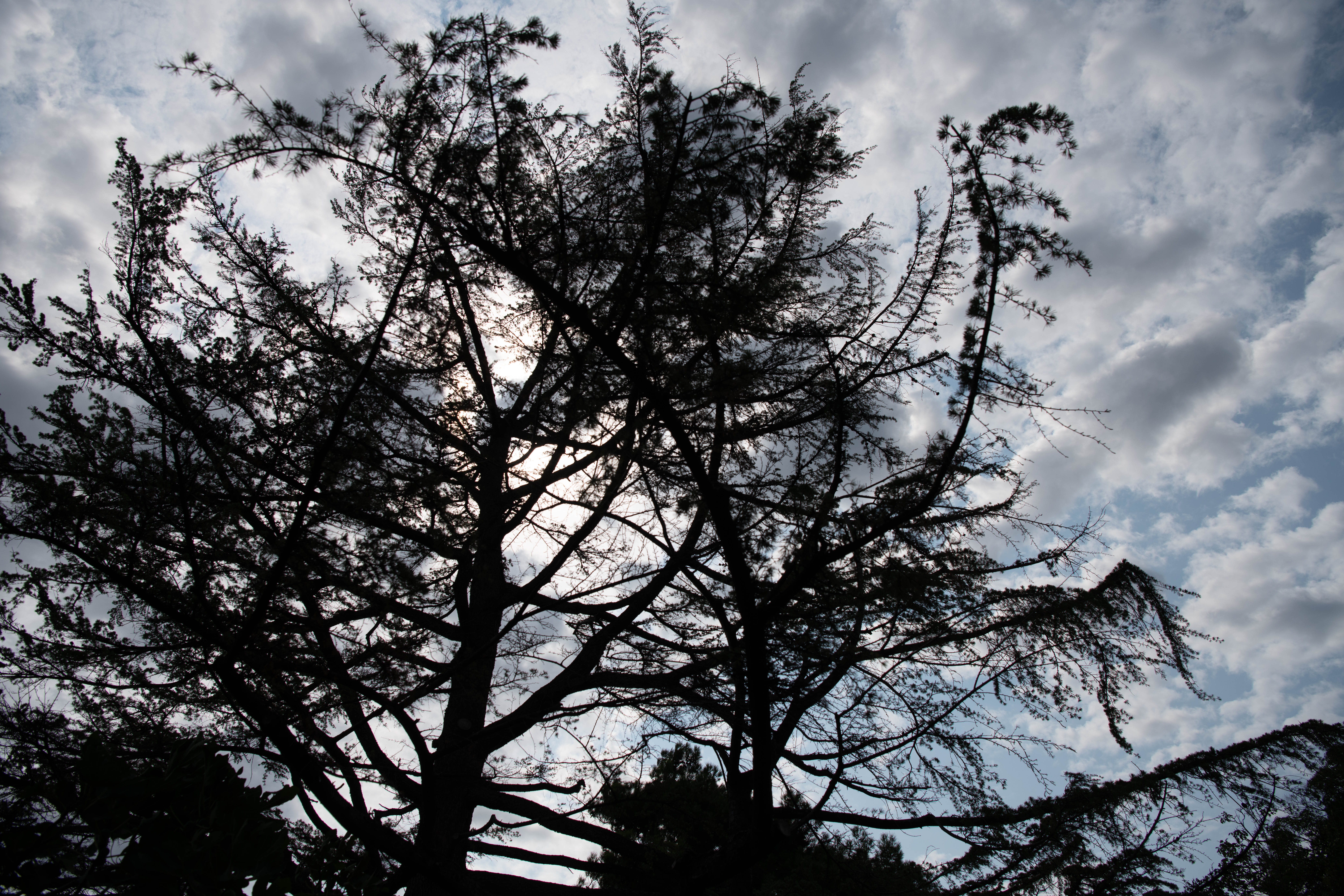 Ankaran Debeli rtič kopališče