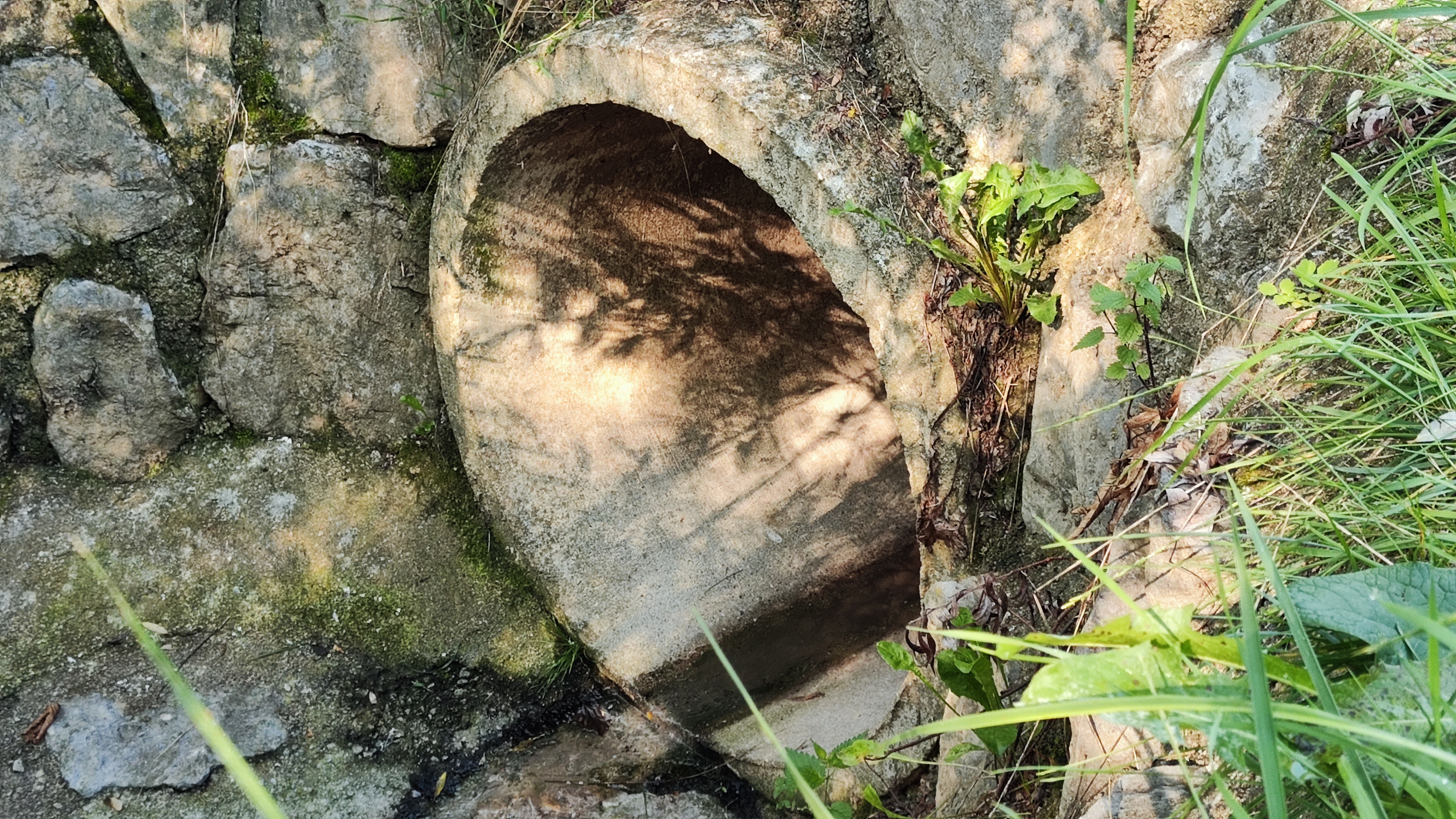 Razlitje nafte na Unici, občina Postojna