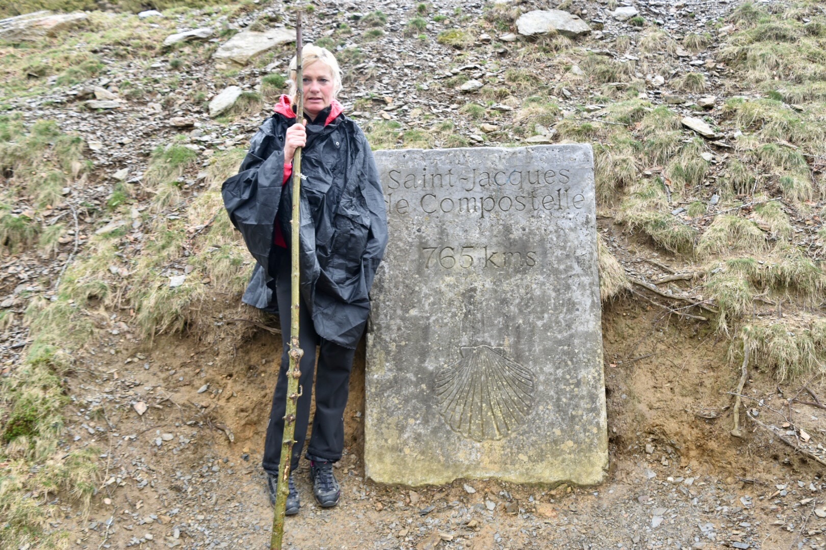 Snežana Brunec, Camino -Jakobova pot
