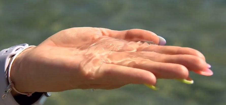 Rebrače v hrvaškem morju