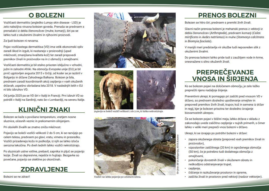 Zgibanka o vozličastem dermatitisu