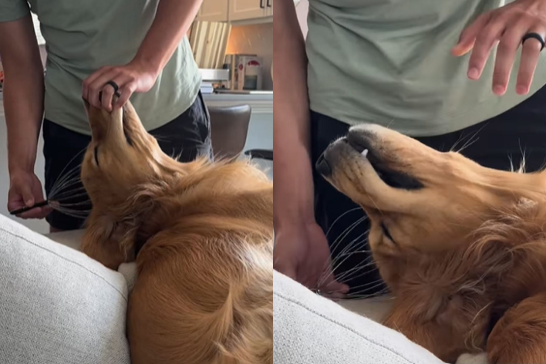 Zlatega prinašalca je navdušil masažer za glavo