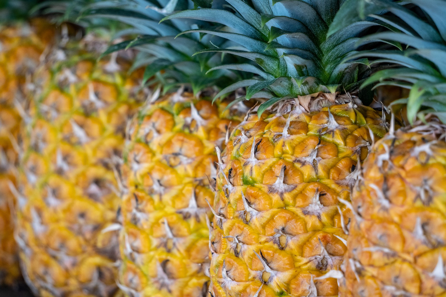 ananas