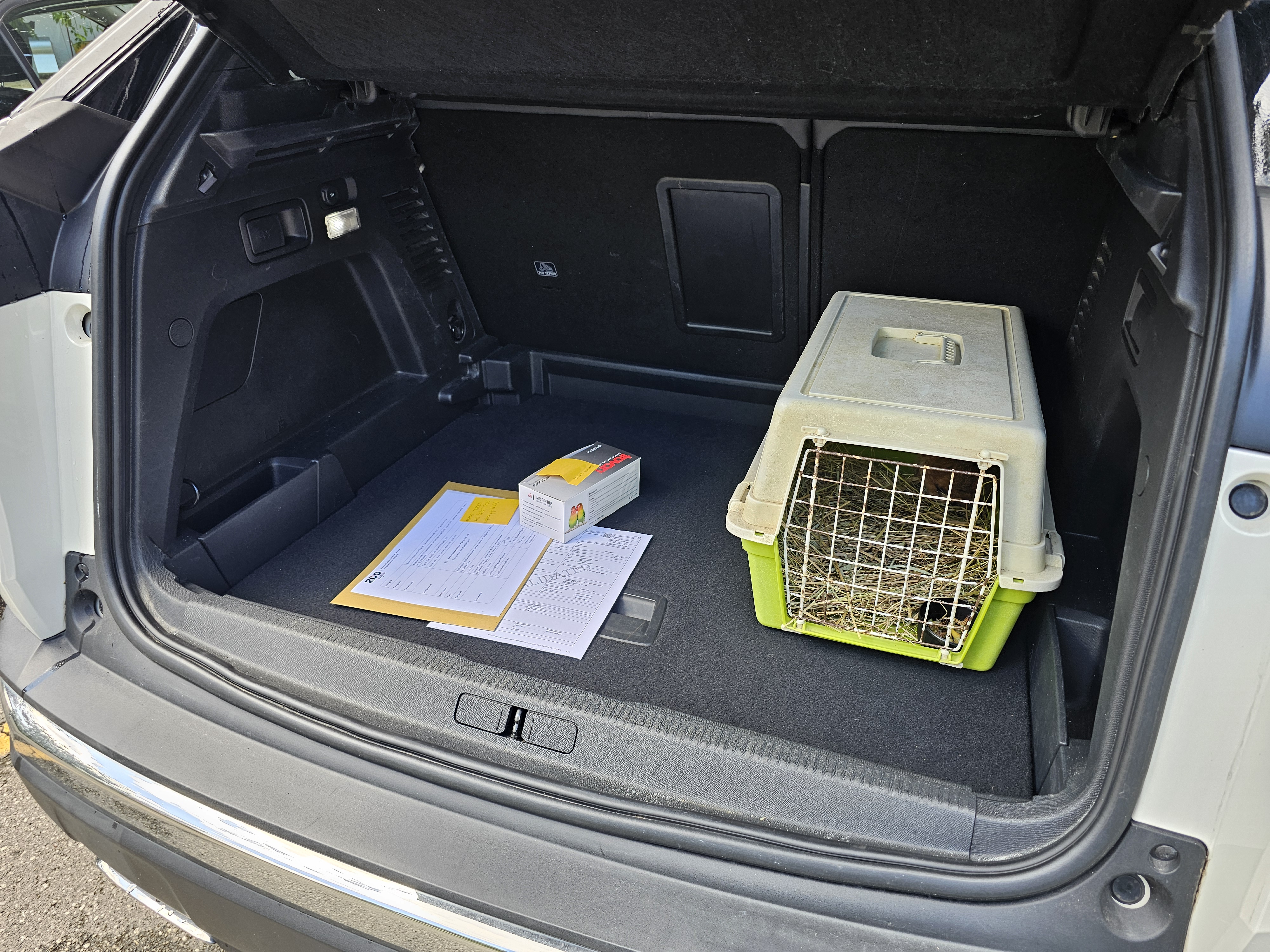 Prihod Mai in prvi koraki v novi dom