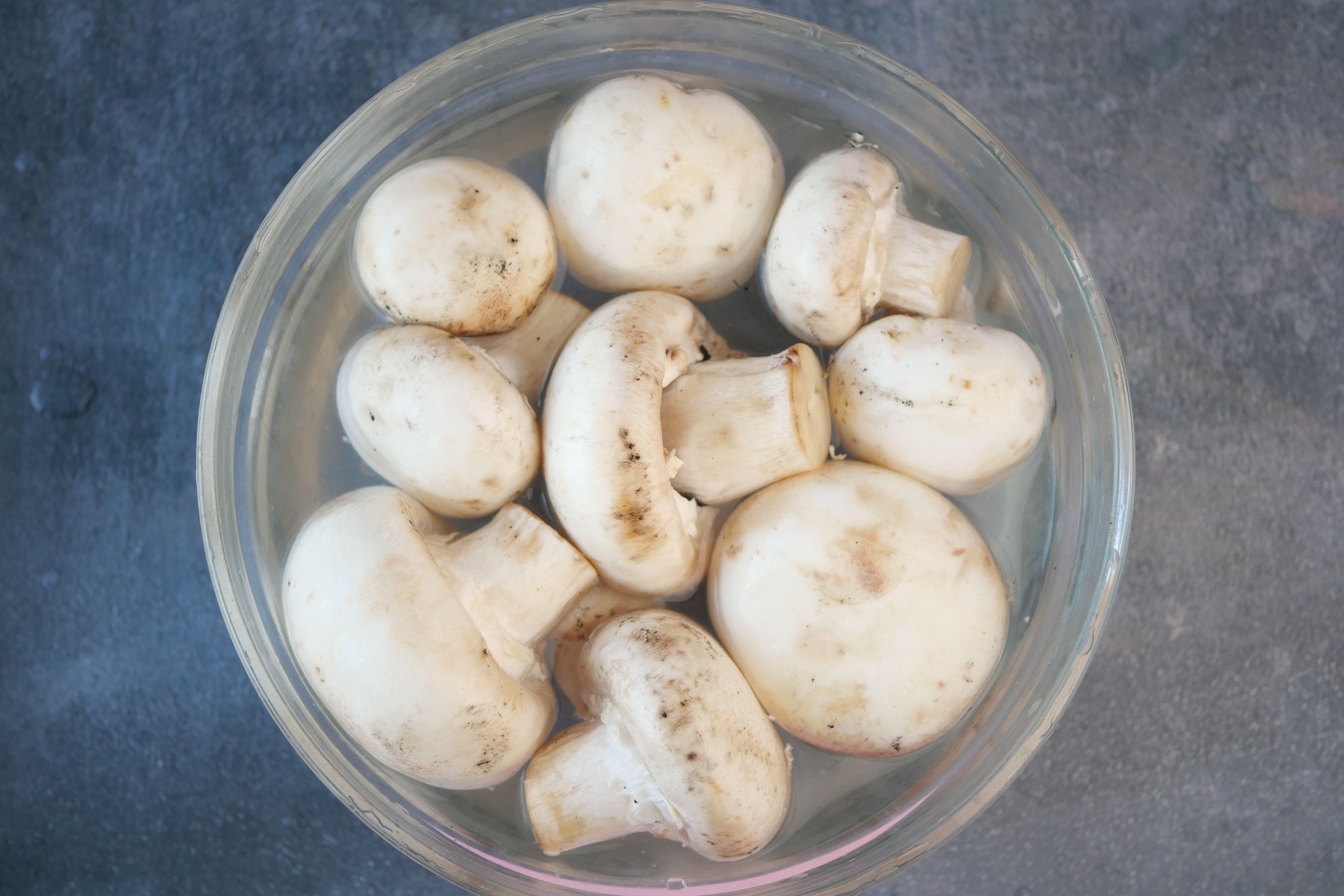 Gobe, ki se namakajo v vodi