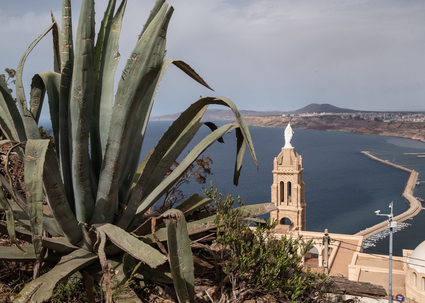 Santa Cruz, Alžirija