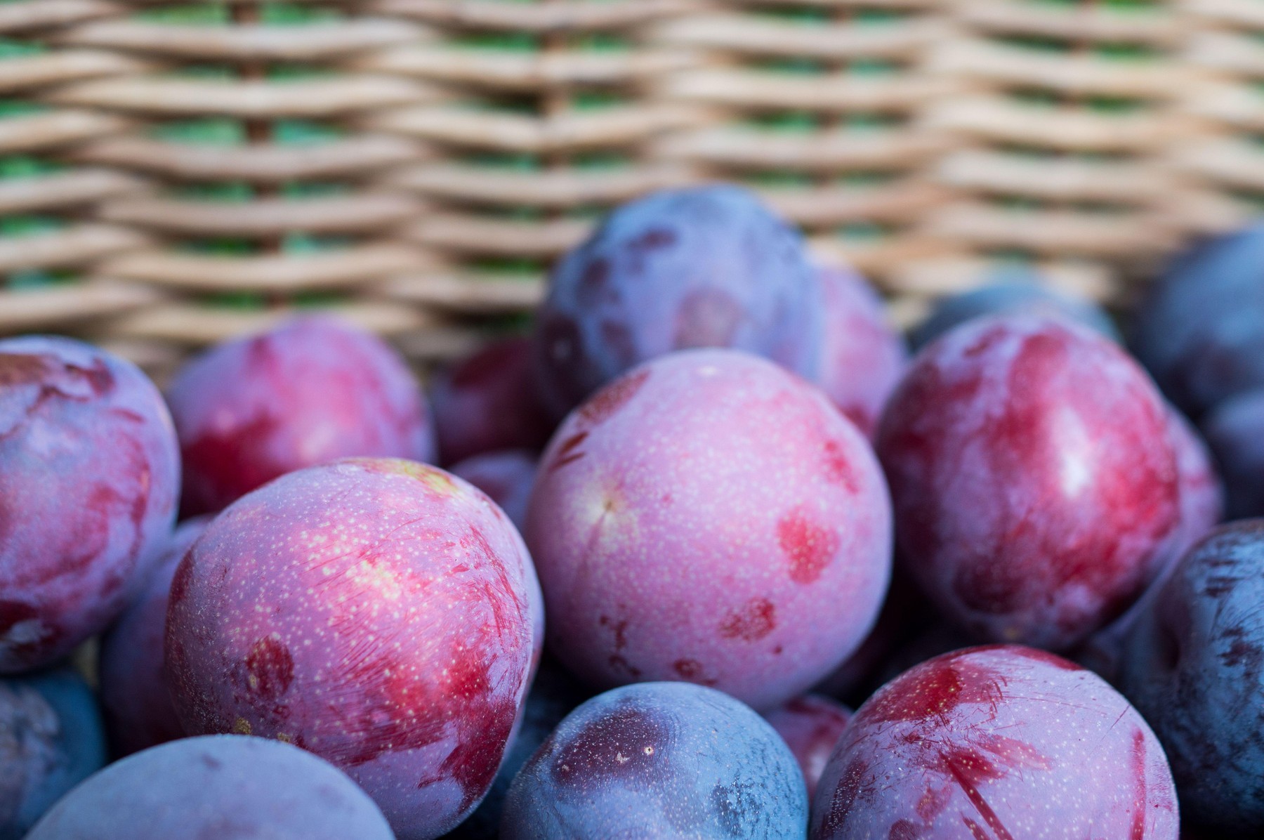 Image: 1014991634, License: Royalty-free, Restrictions: , Model Release: no