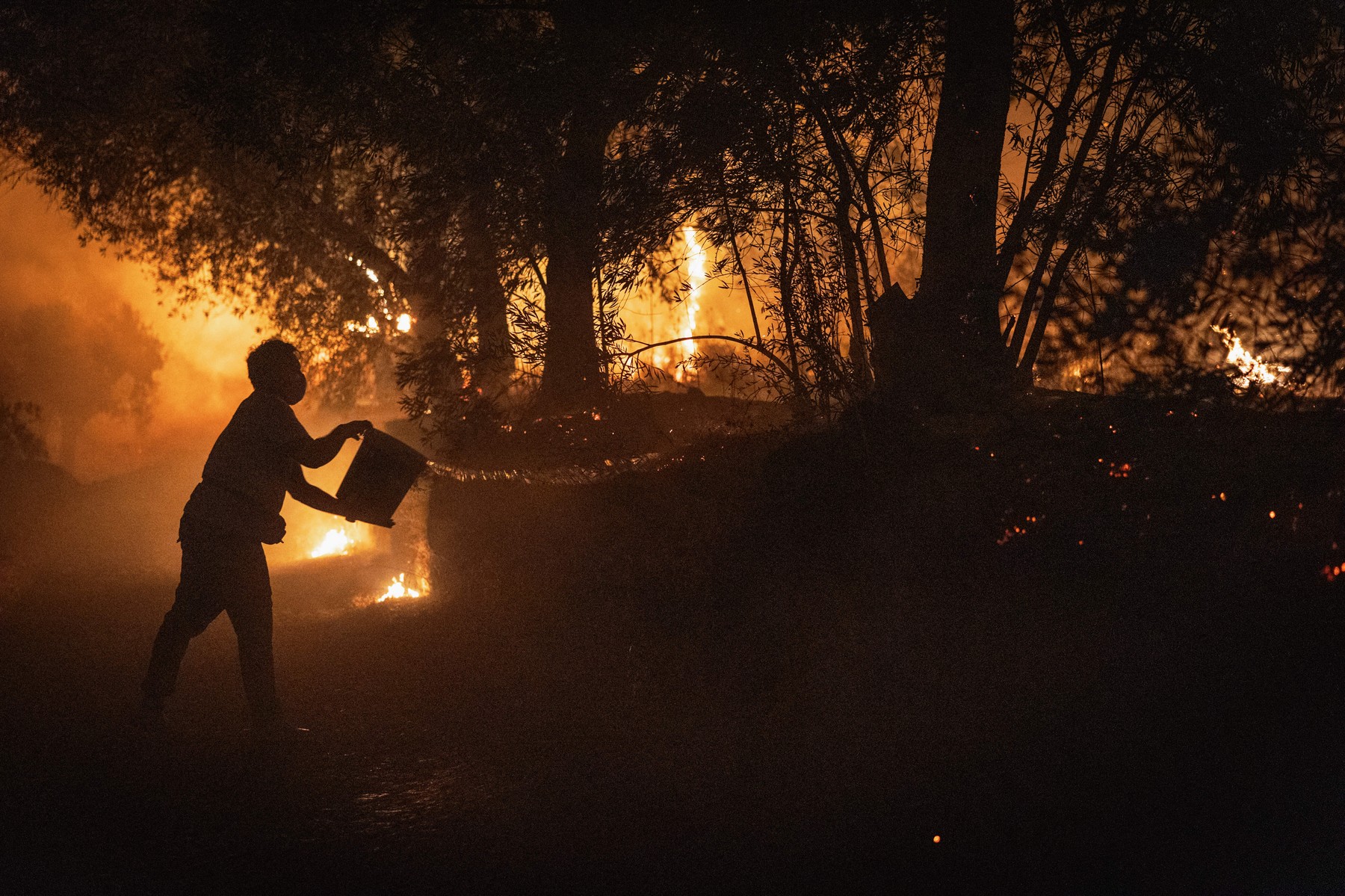 V požarih na Portugalskem četrta smrtna žrtev,