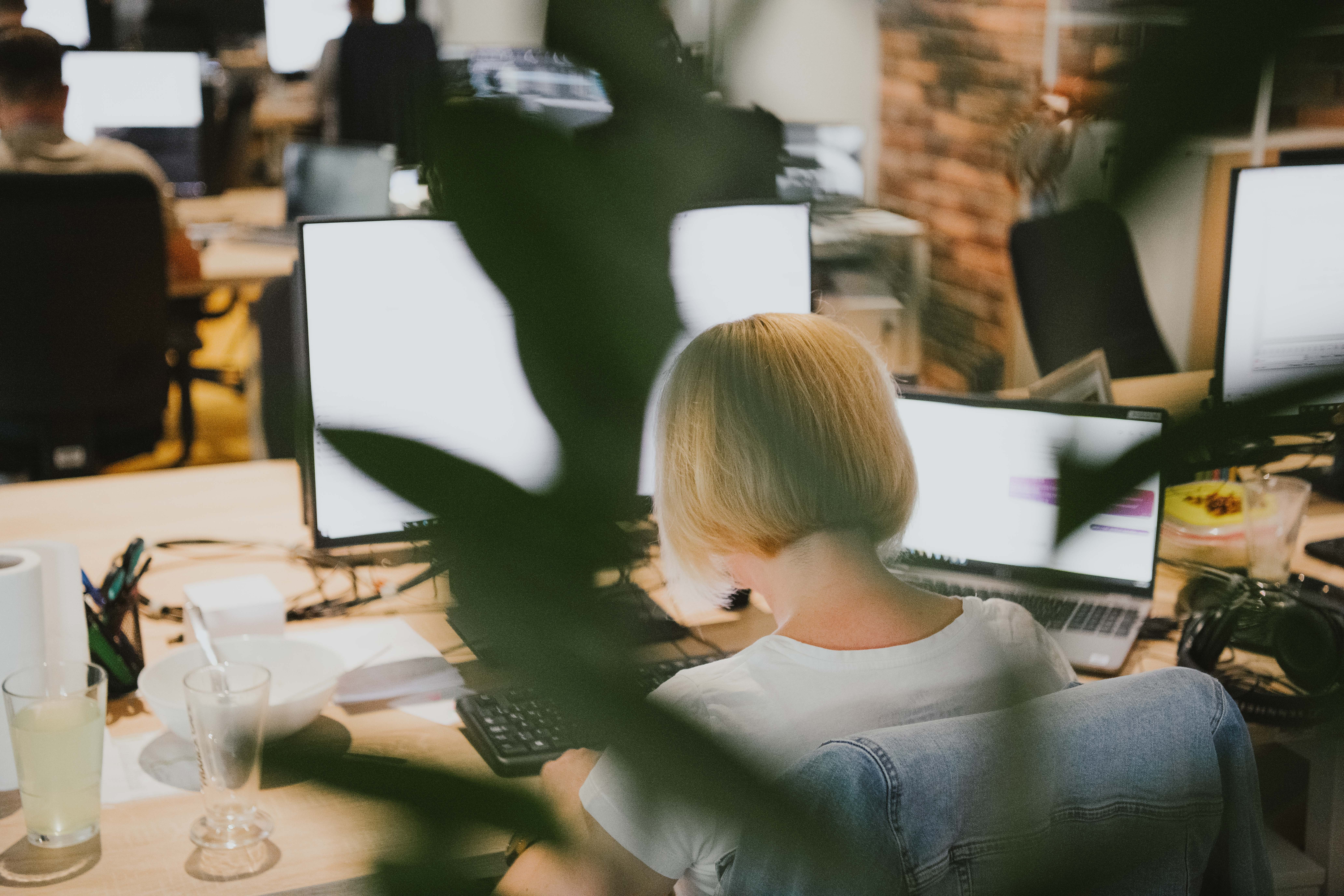 n1, mediji, novinar DSC_9140.jpg