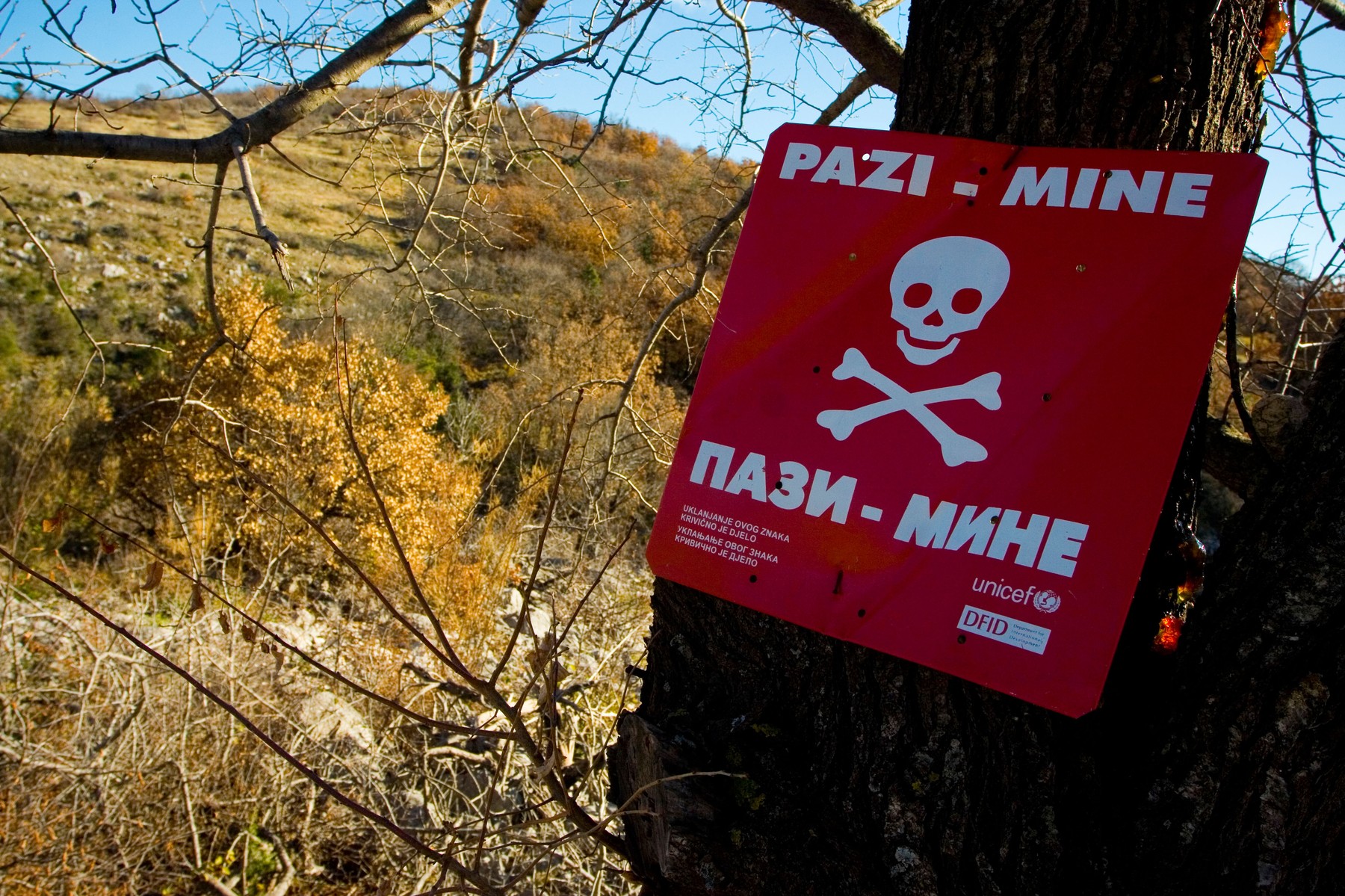 Opozorilni znak na drevesu