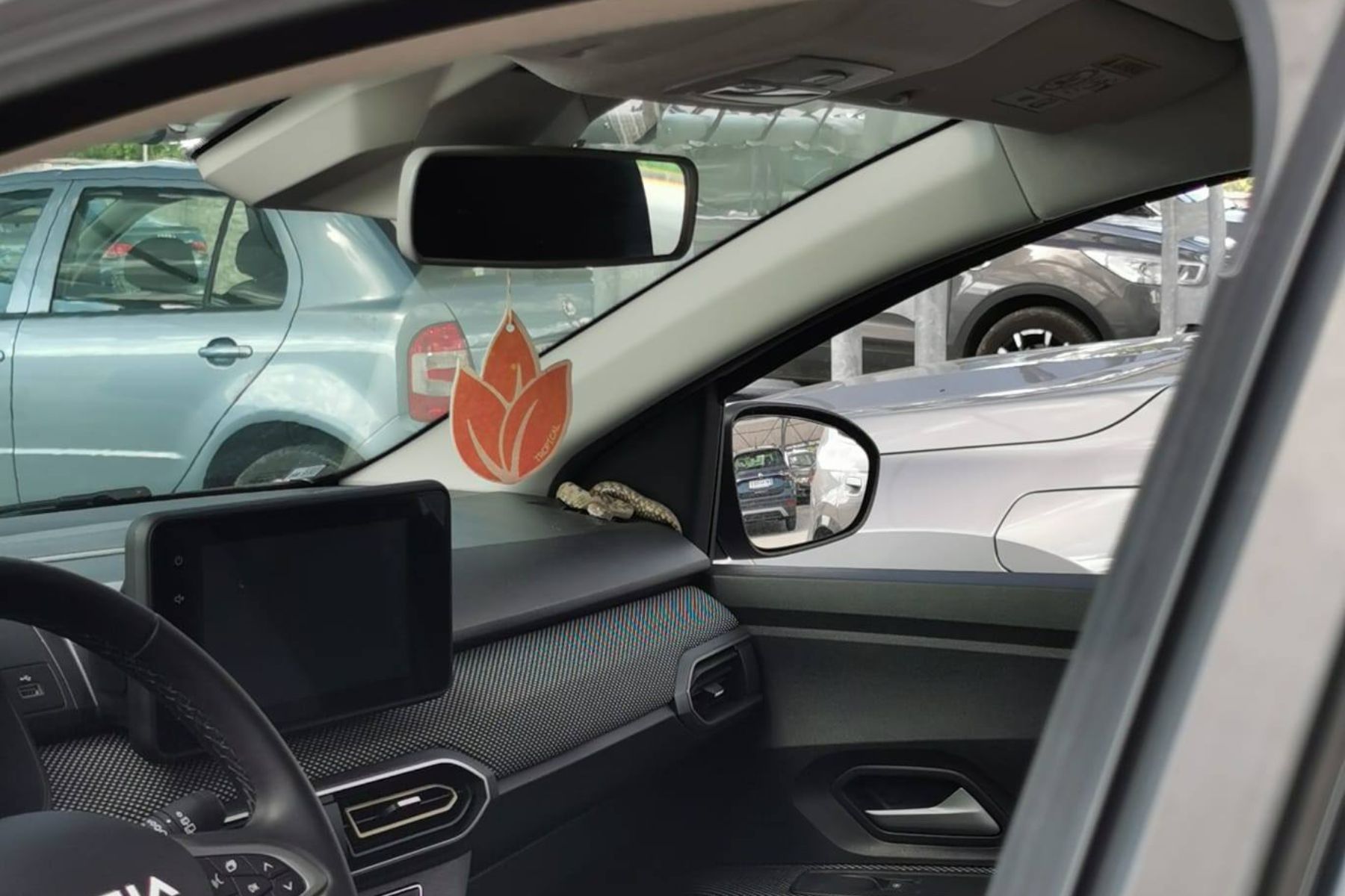 Voznika na Hrvaškem je v avtu pričakala kača