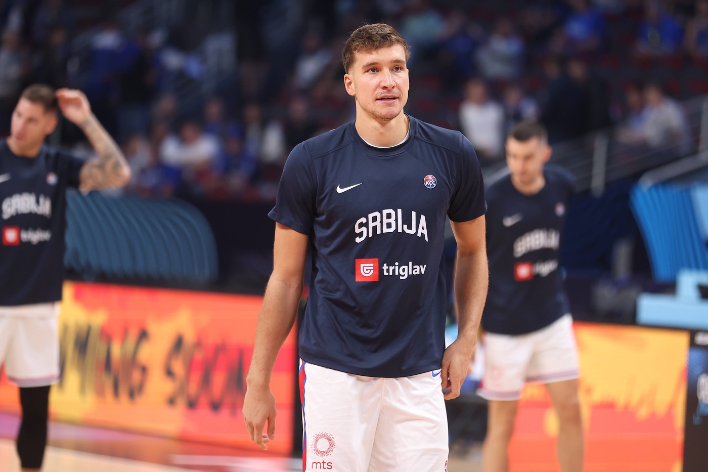Bogdan Bogdanović