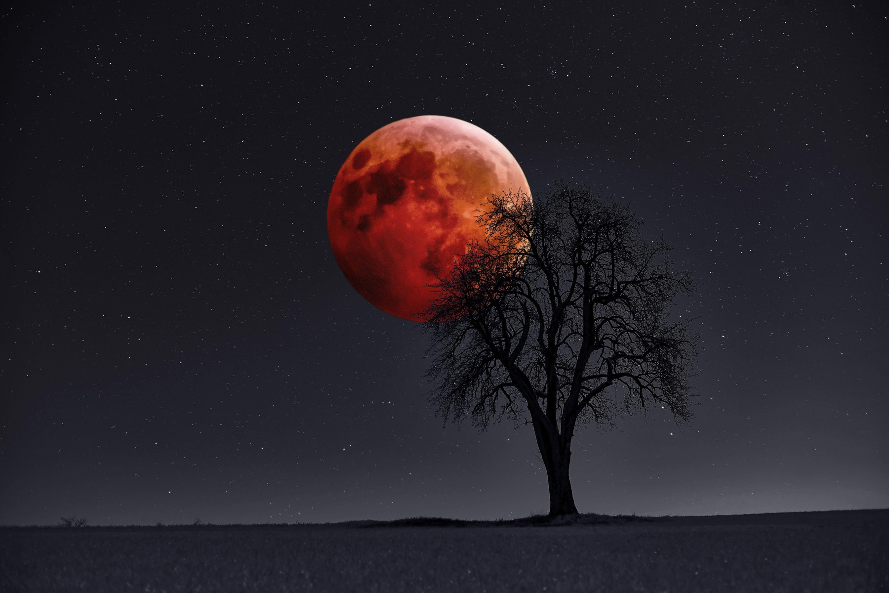 popolni lunin mrk krvava Luna Foto PROFIMEDIA