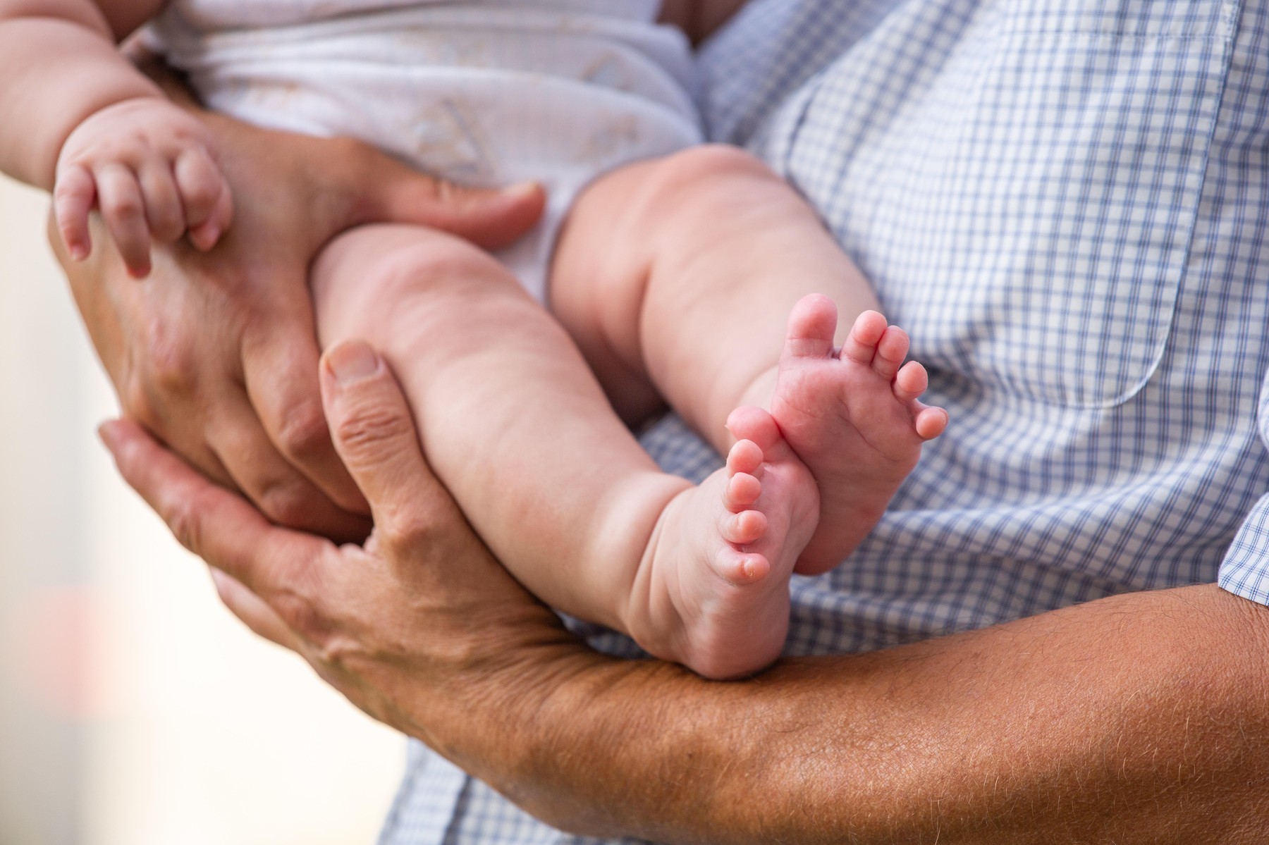 Image: 474623347, License: Royalty-free, Restrictions: , Model Release: no