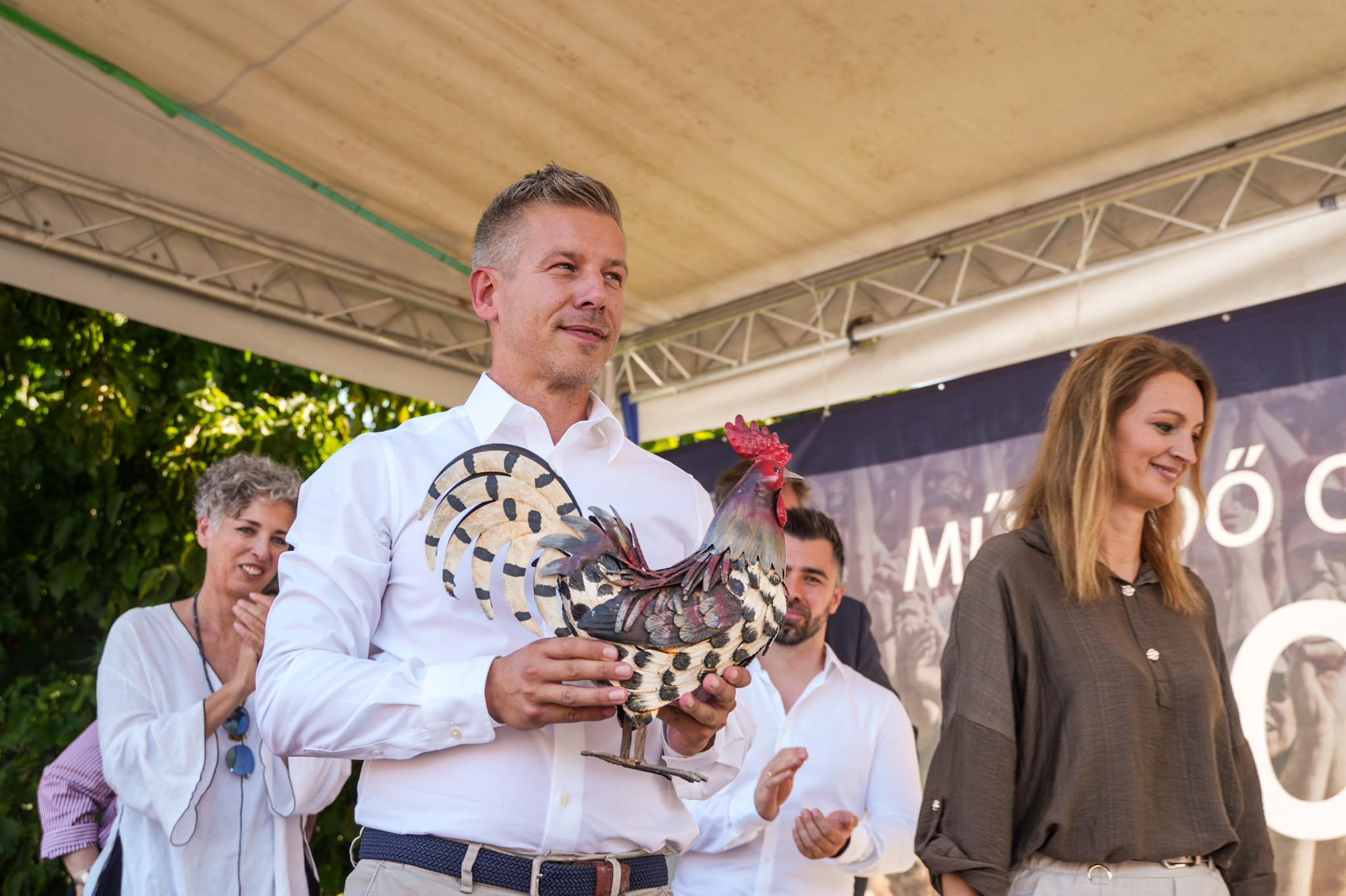 Peter Magyar, Madžarska, Viktor Orban