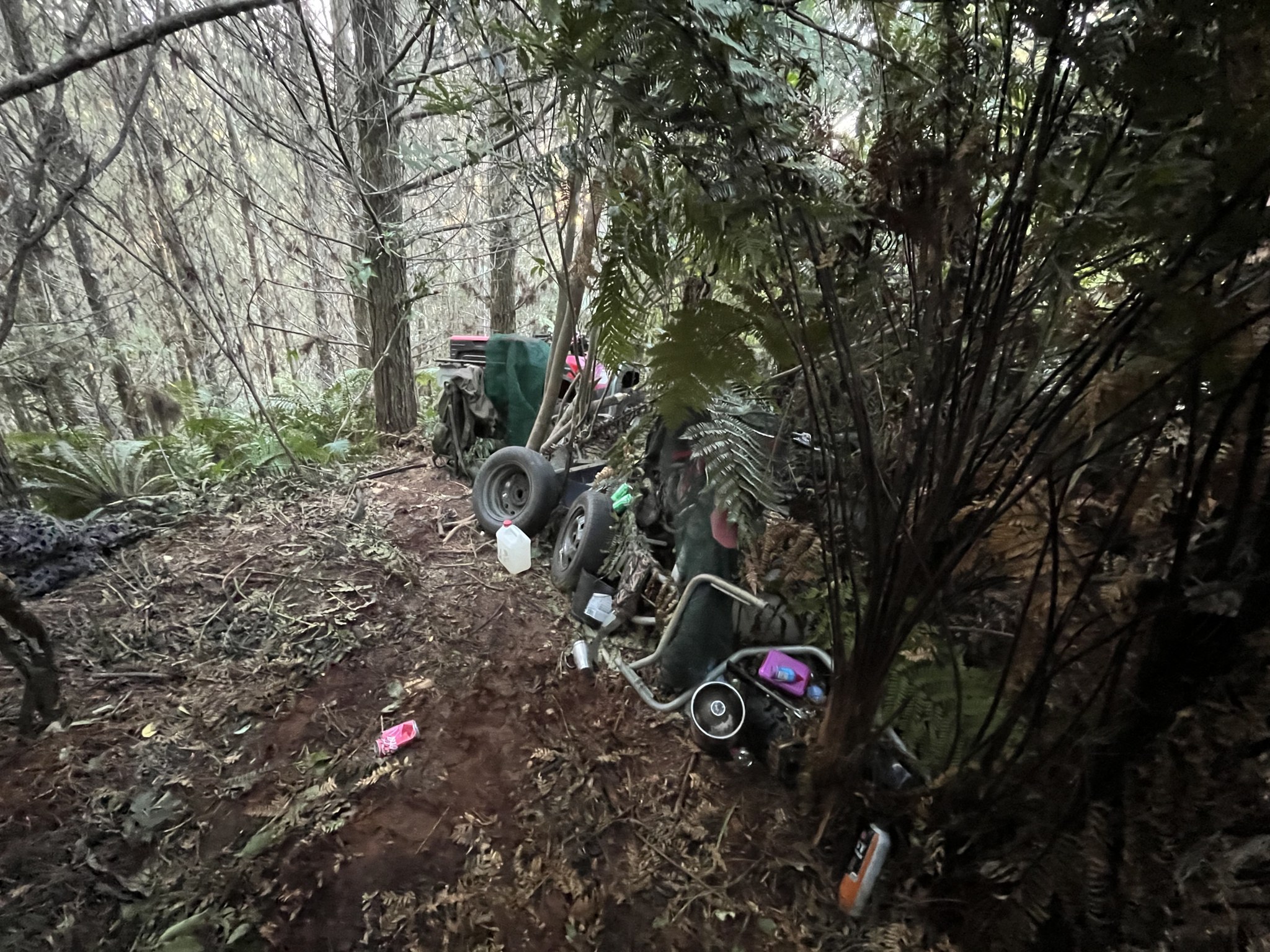 Skrivališče Novozelandca Tom Phillipsa