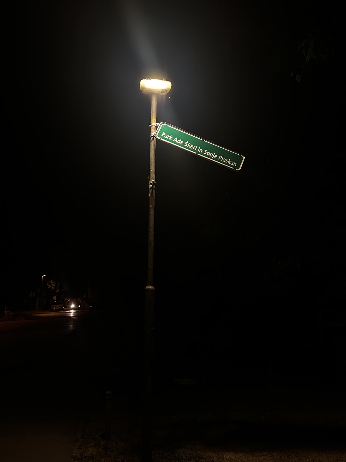 Vandalizem v parku Ade Škerl in Sonje Plaskan