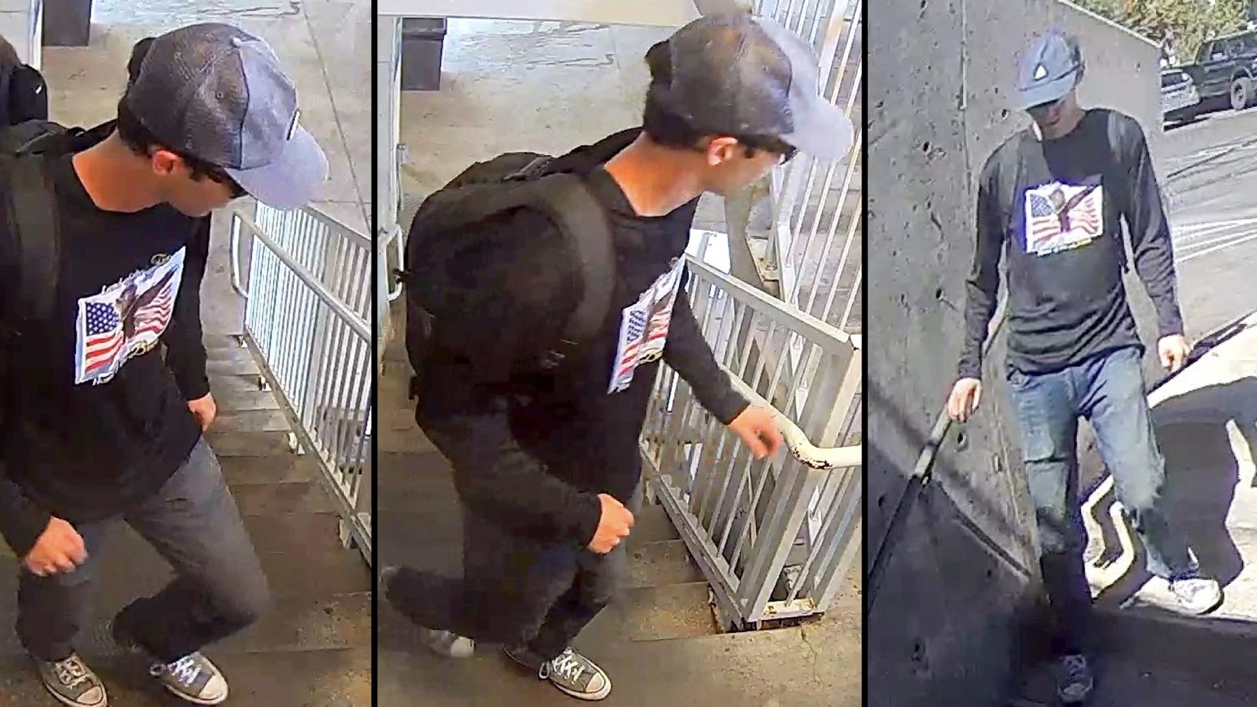 Fotografija morlica Charlieja Kirka