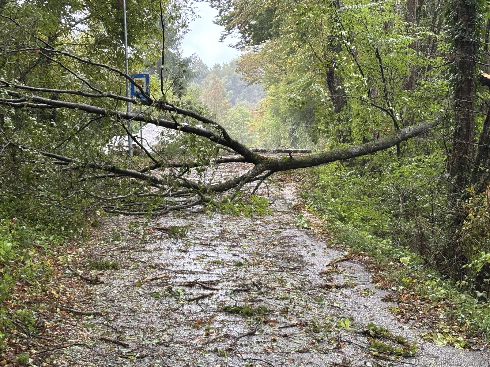 Posledice neurja v Stopičah, Novem mestu