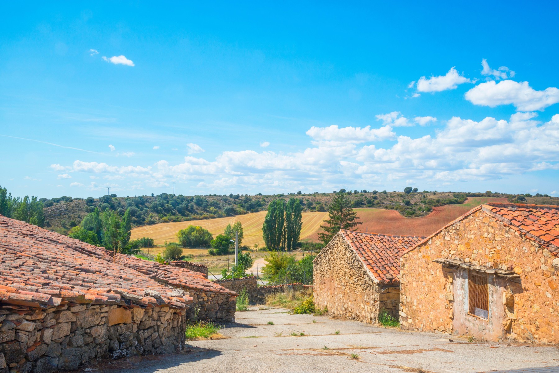 Villaverde del Ducado, Guadalajara province, Castilla La Mancha, Spain.