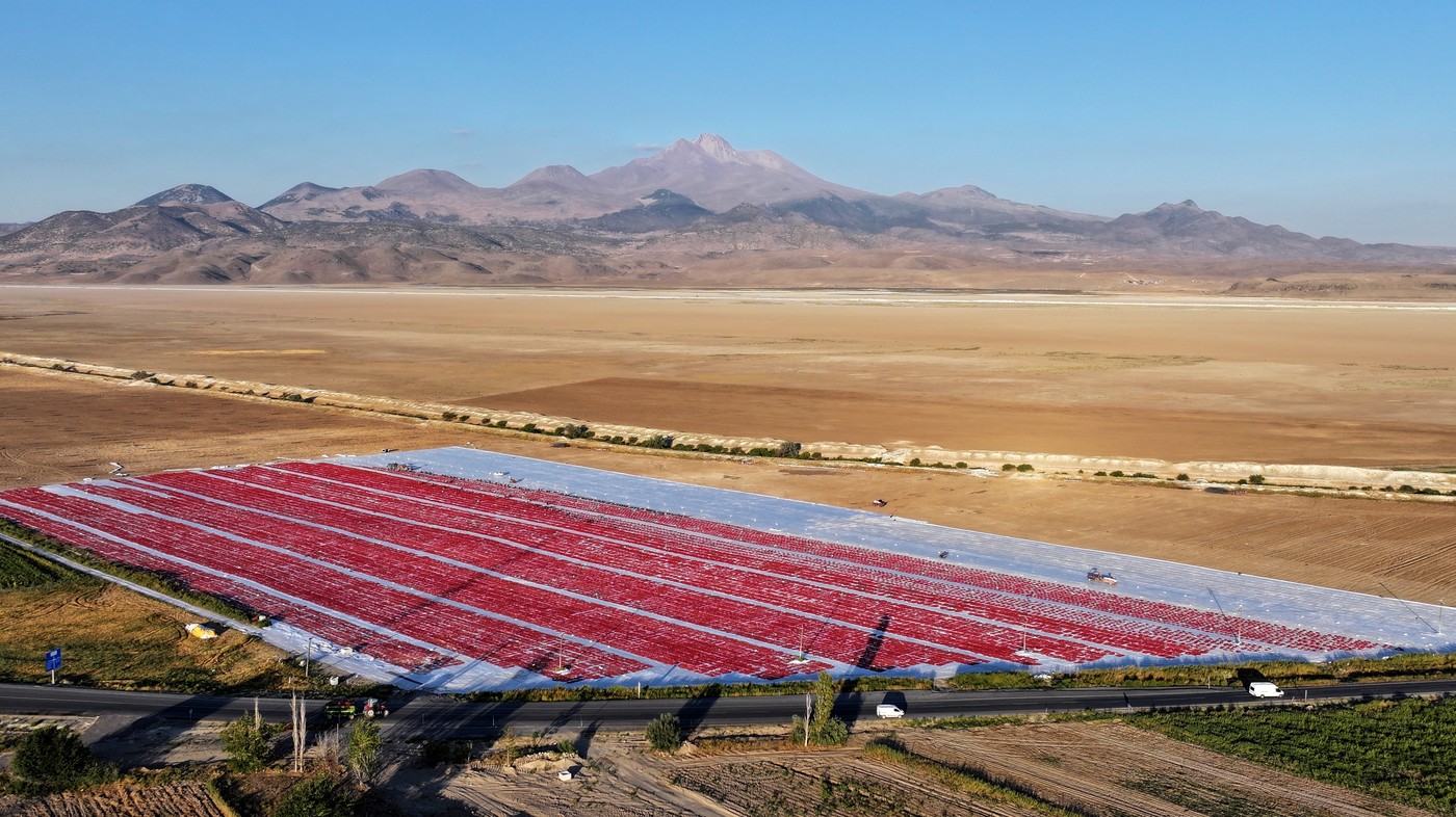 sušenje paradižnika KAYSERI