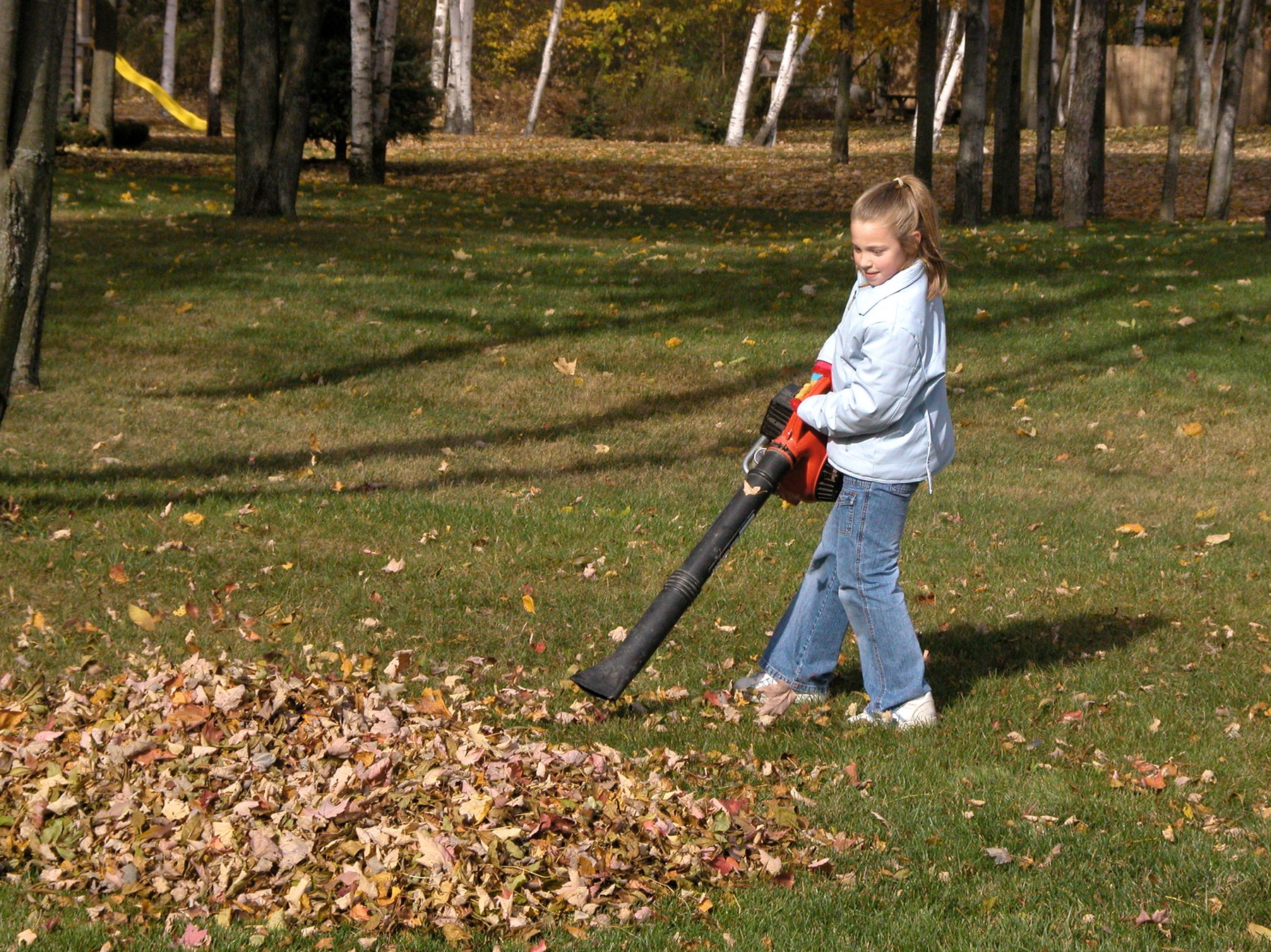 DCM,Image: 7780735, License: Rights-managed, Restrictions: , Model Release: no