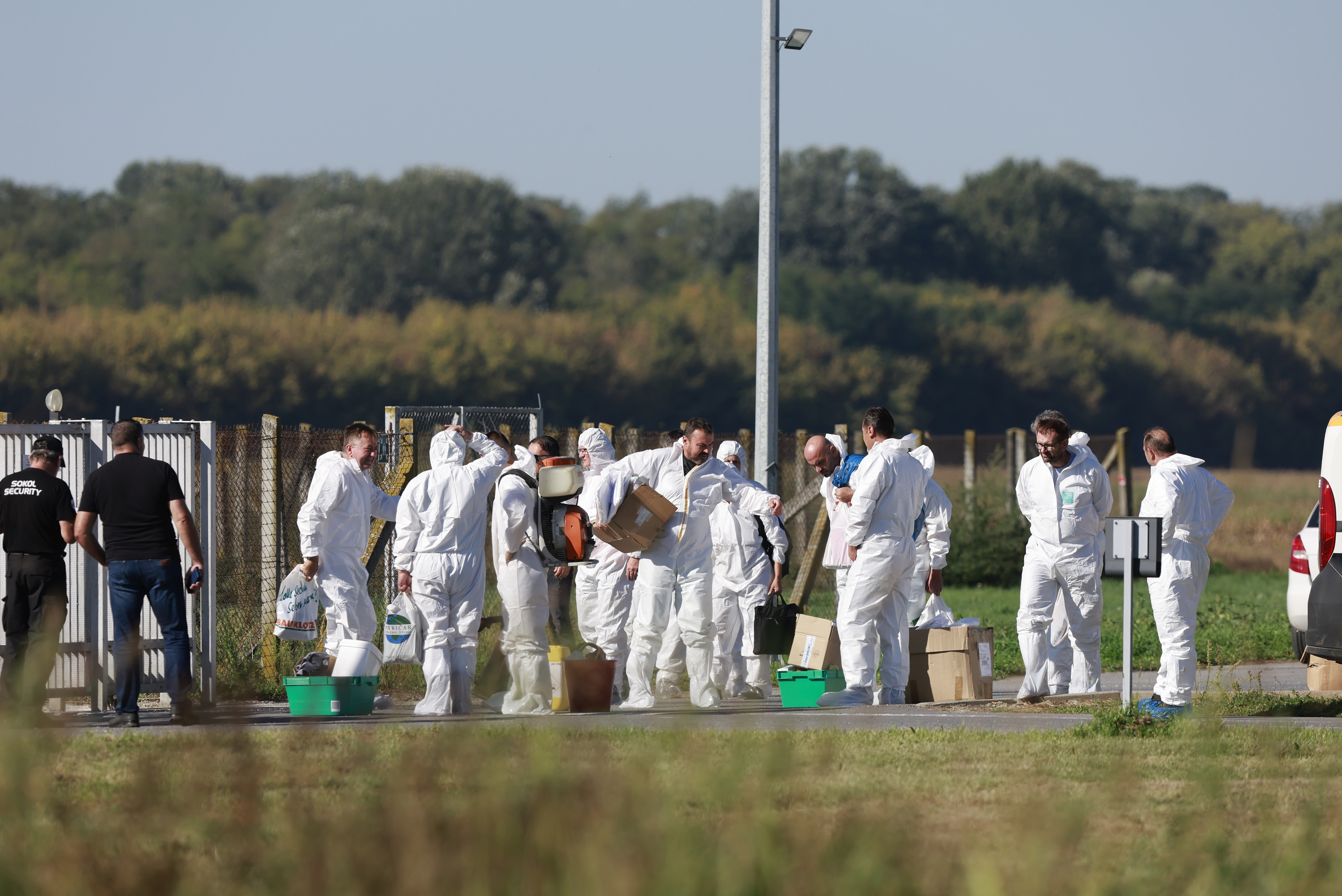 Prašičja kuga na Hrvaškem