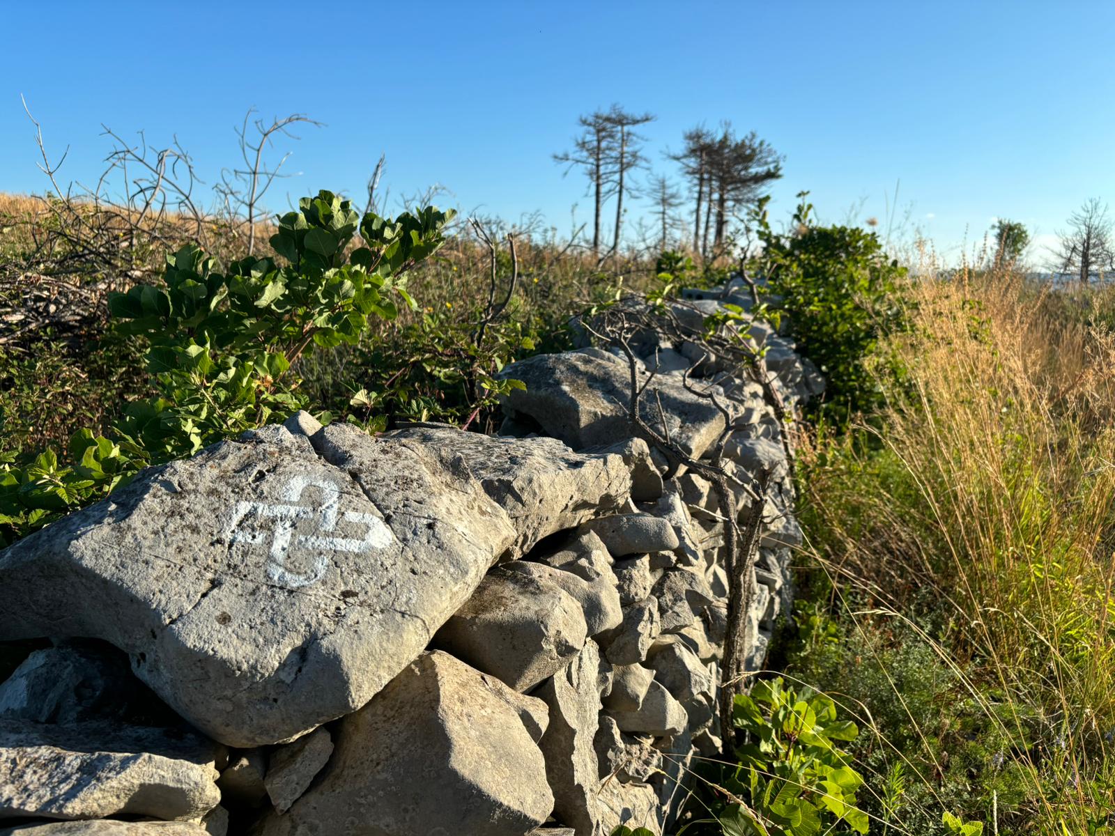 Oznaka Goriškega Camina