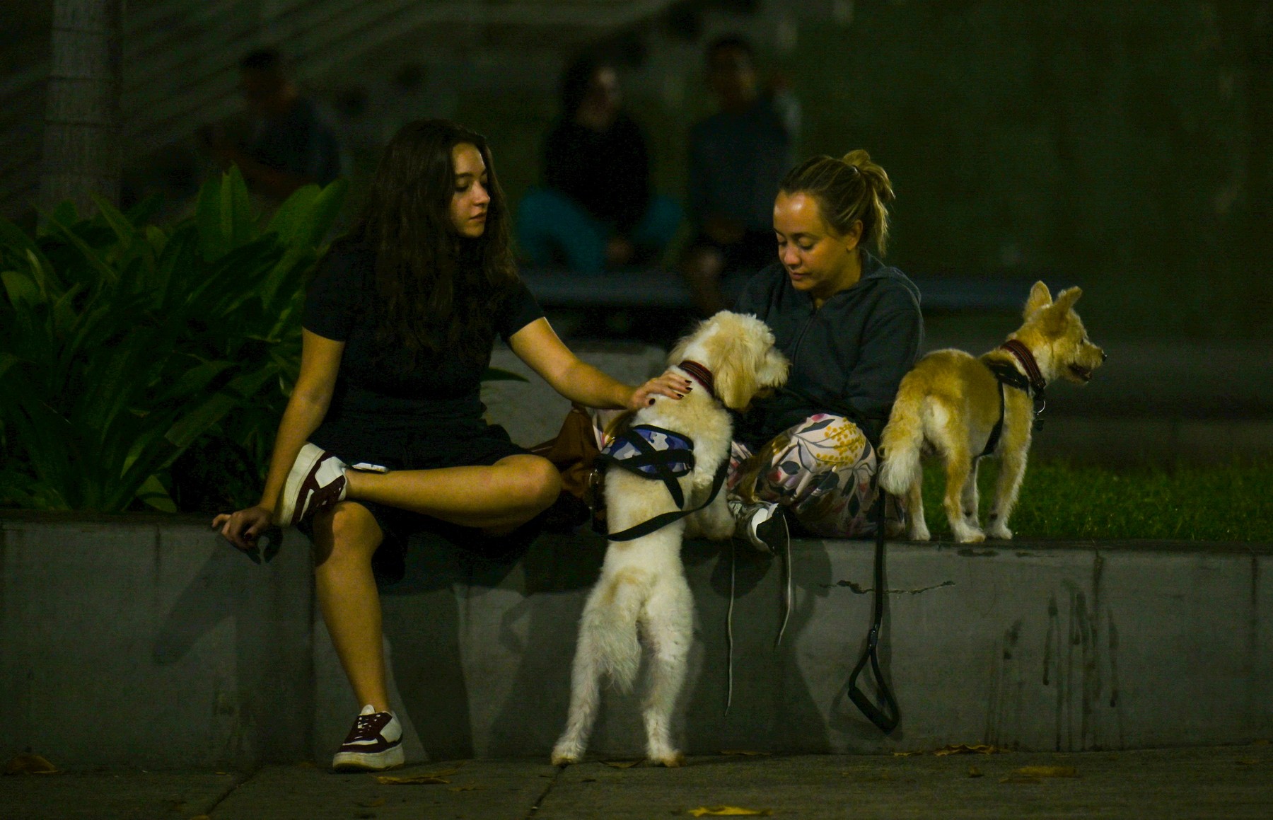 Potres z magnitudo vsaj 6,1 je stresel Venezuelo. Tresljaje so čutili v več venezuelskih zveznih državah