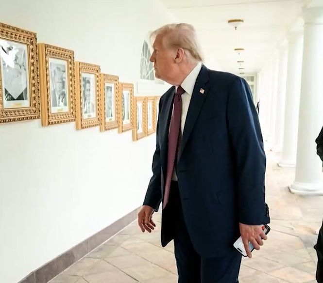 Posnetek zaslona CNN3