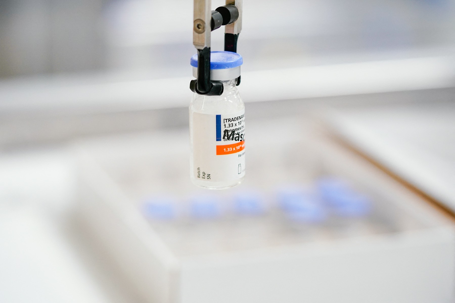 Elevidys for the treatment of Duchenne muscular dystrophy at the Roche Diagnostics GmbH plant. R. Photo: Uwe Anspach/dpa