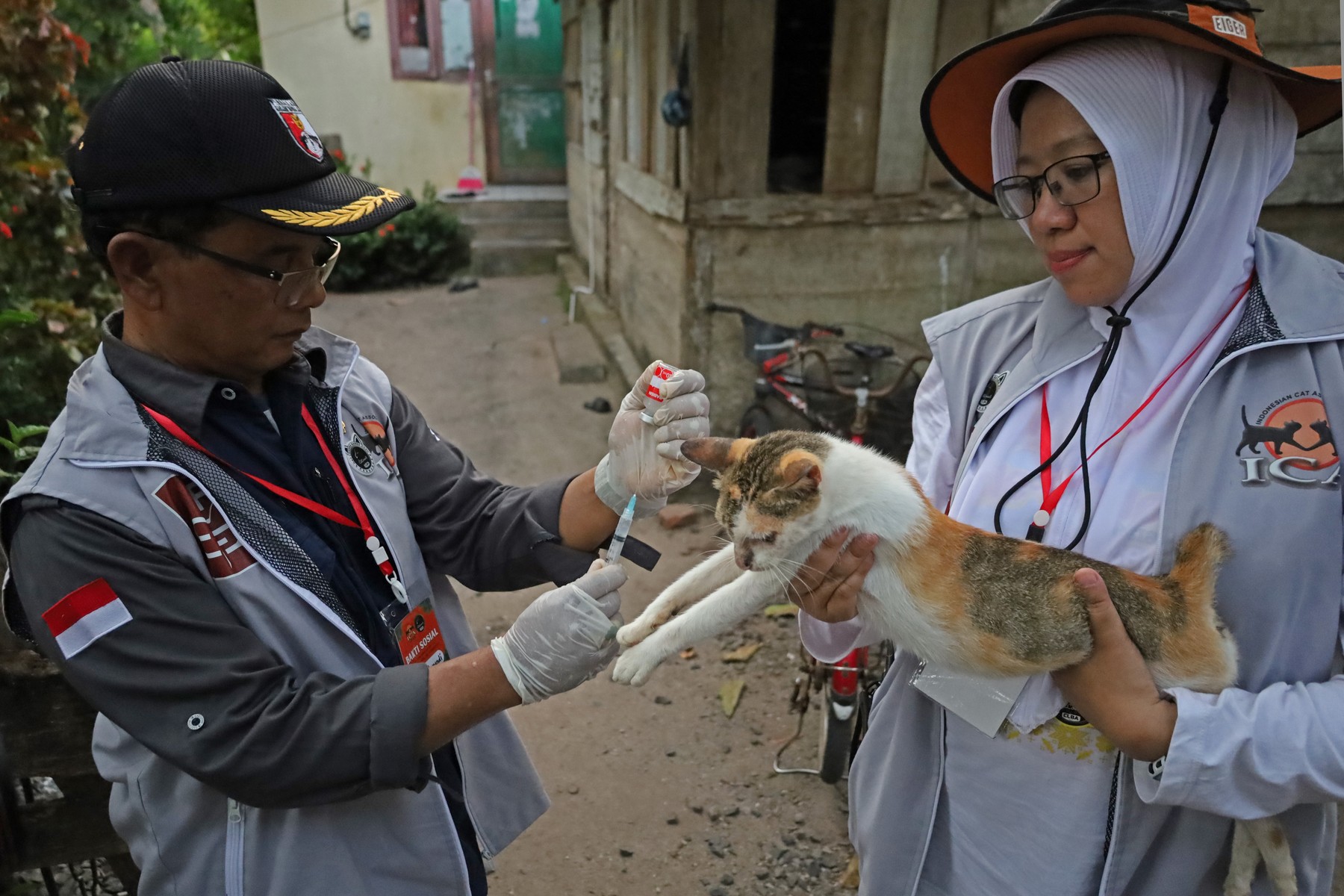 Cepljenje proti steklini v Indoneziji