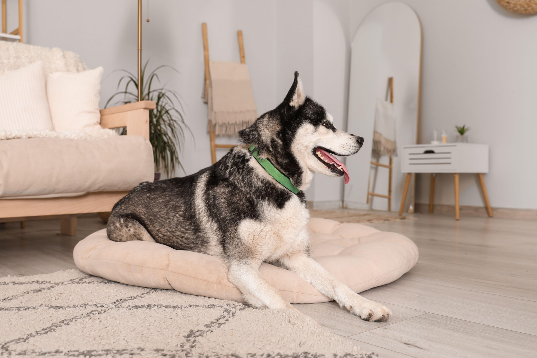 Preproga poskrbi za dodatno izolacijo