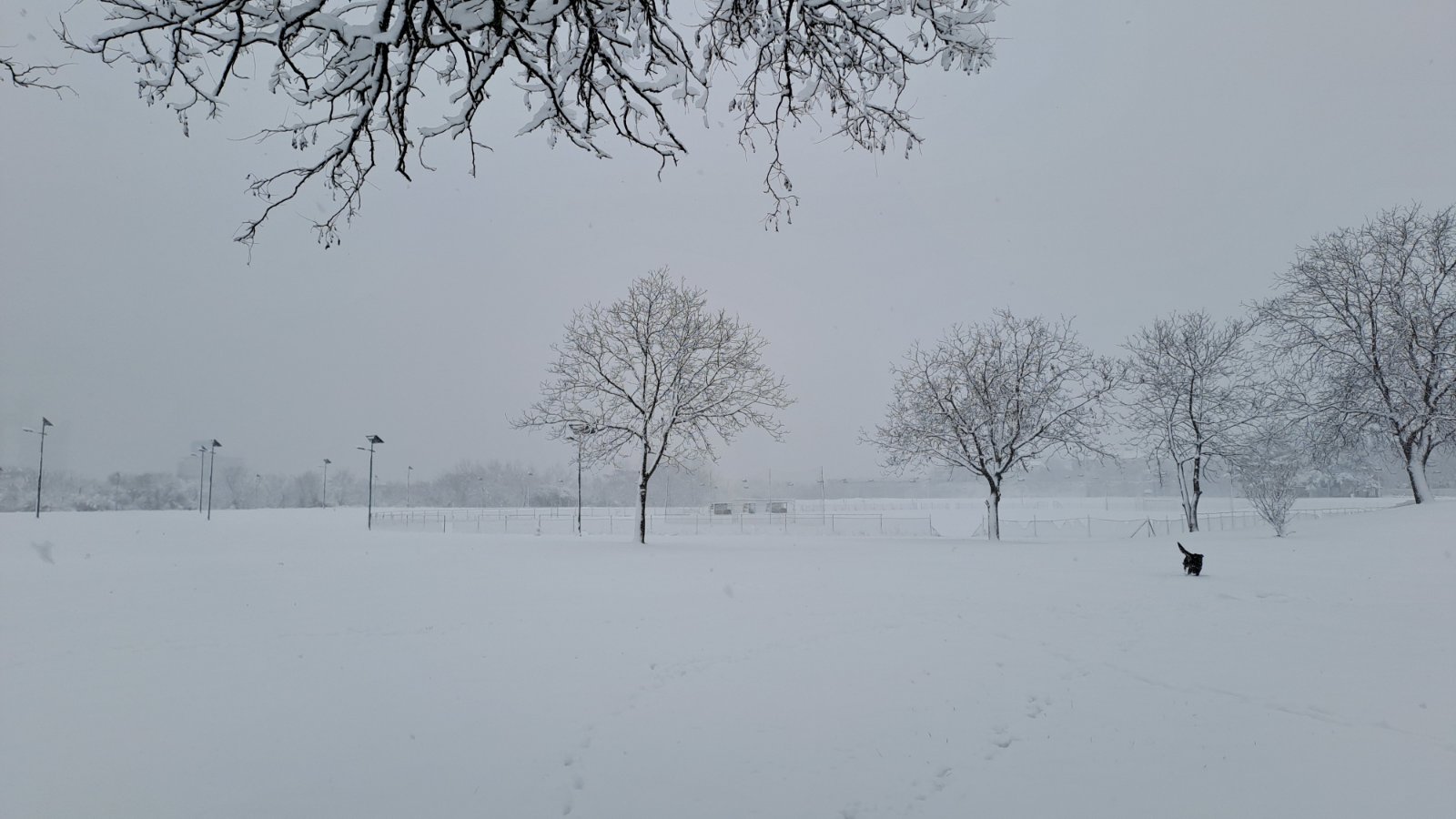 Prizor iz Beograda, 4. januar 2026