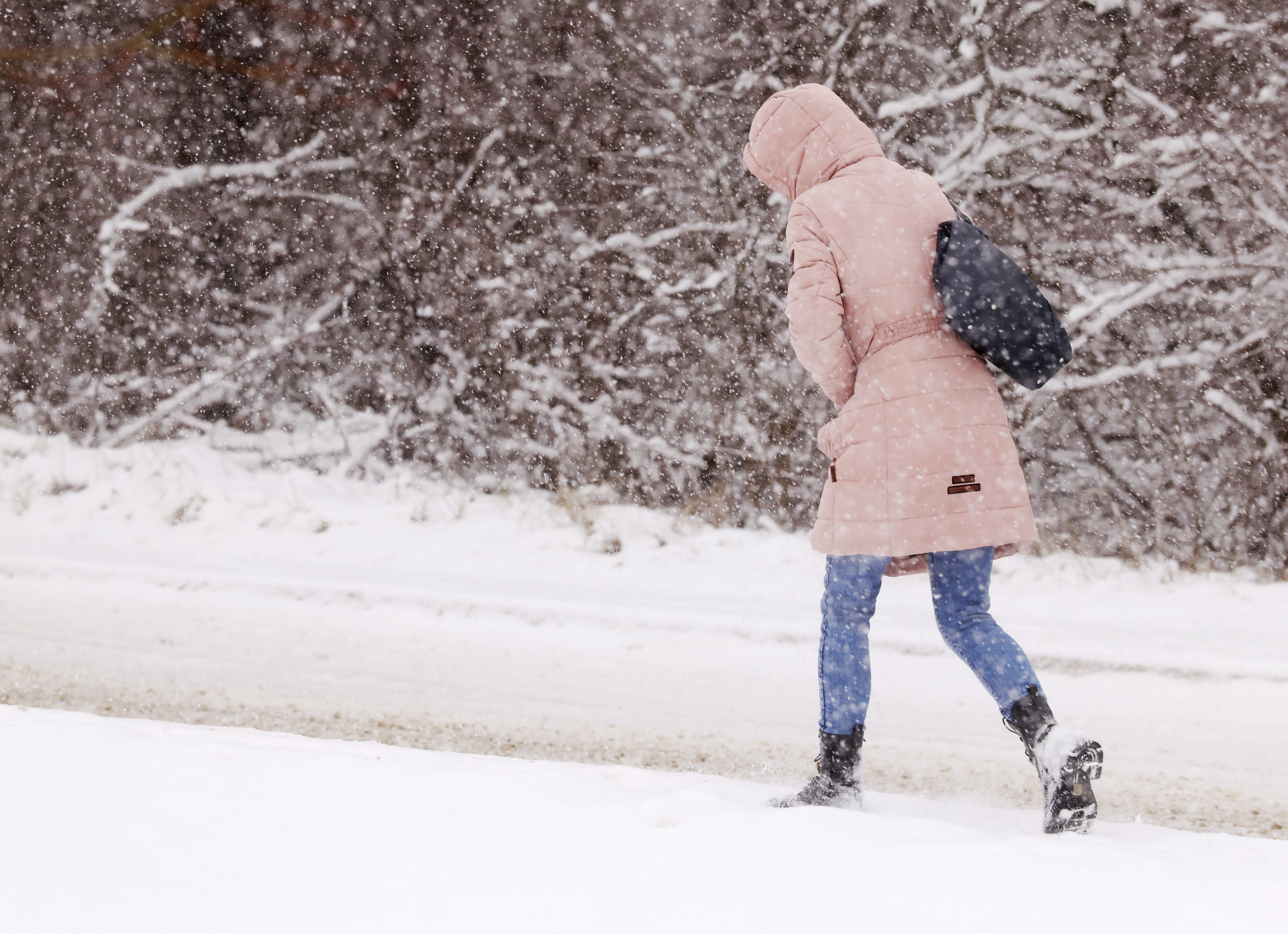 Slovenijo je pobelil sneg