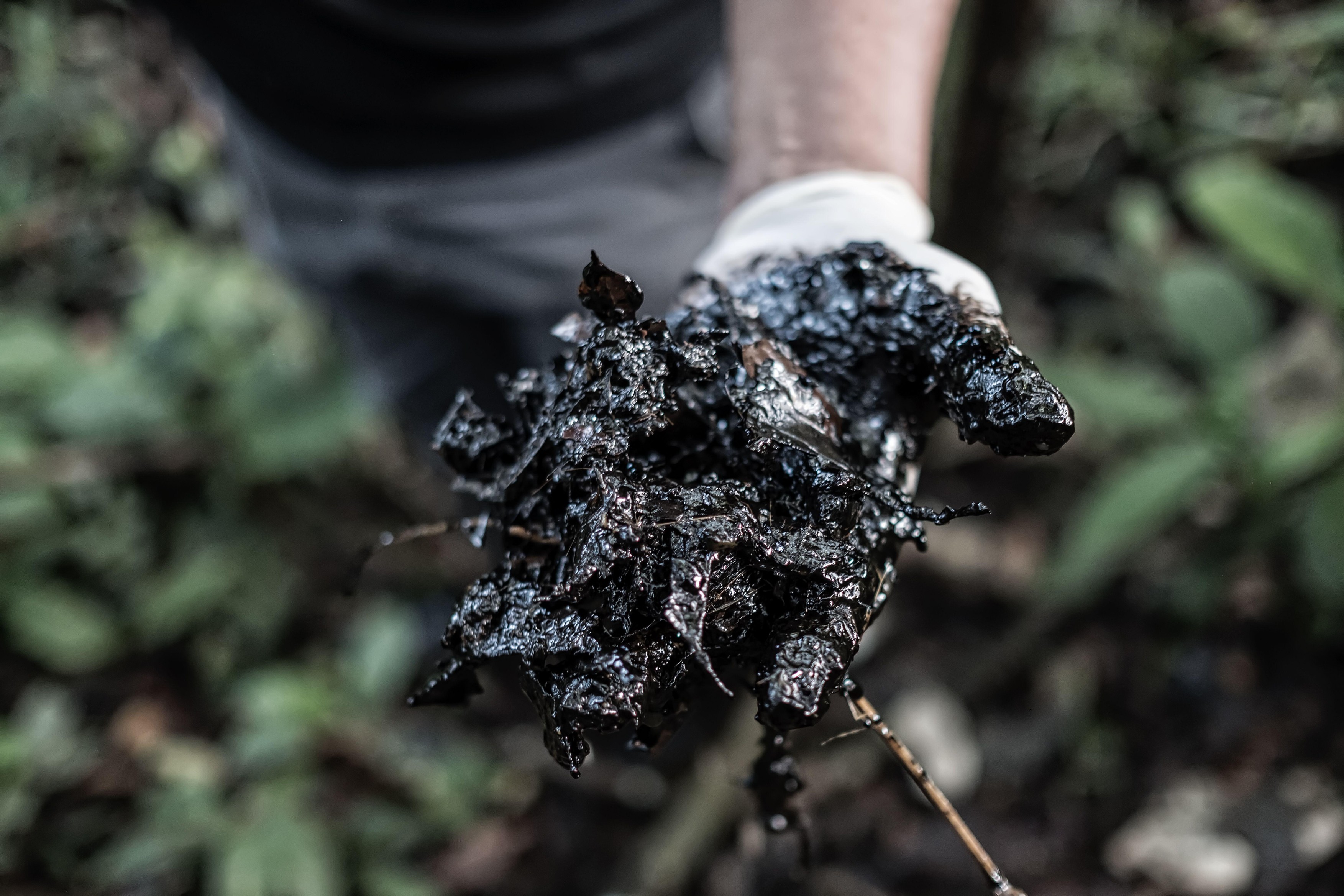 Image: 973027845, License: Royalty-free, Restrictions: , Model Release: no