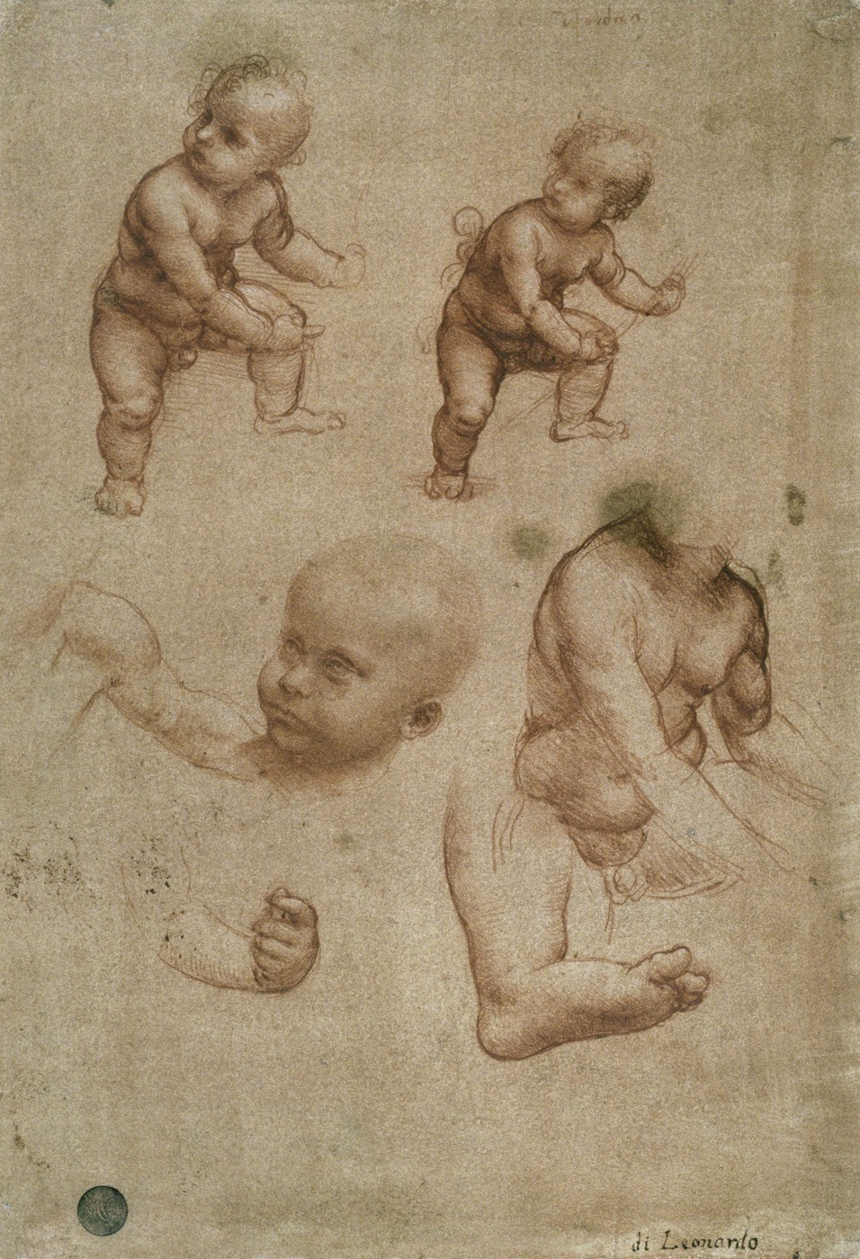 Leonardo da Vinci, Jezušček, Gesù Bambino, risba z rdečo kredo, 1501 1507