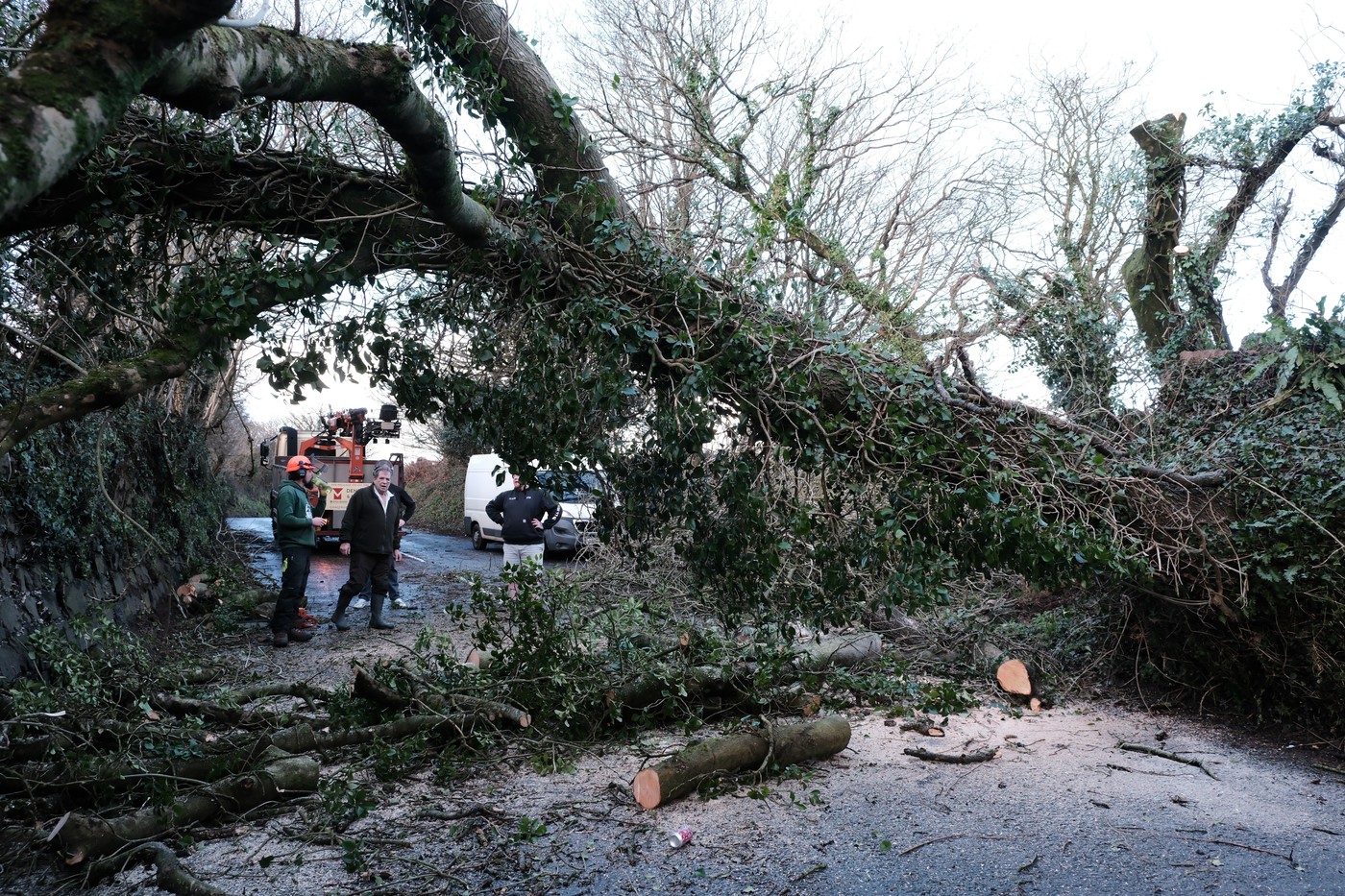 Neurje Goretti v Veliki Britaniji podiralo drevesa
