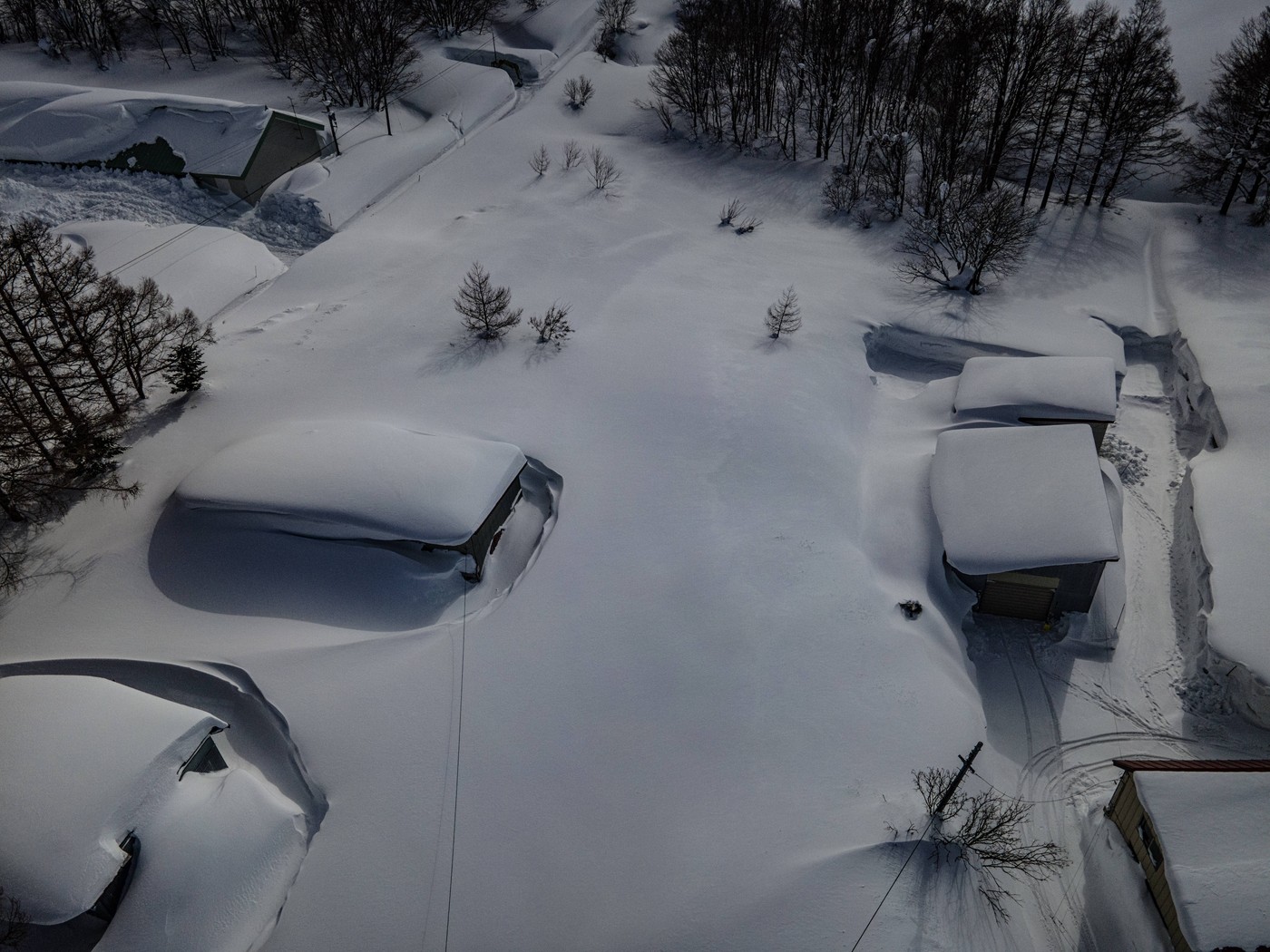 Vasica Okavara v prefekturi Aomori na Japonskem, zakrita s snegom, januar 2025
