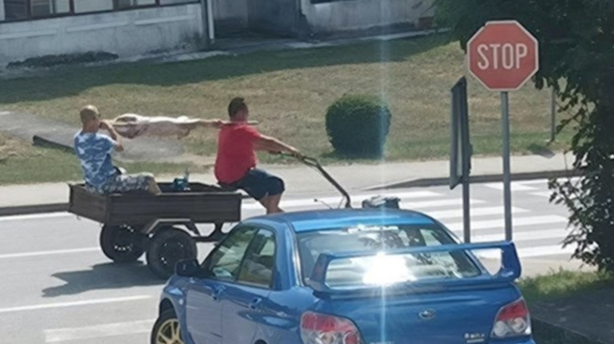 fotografja iz Istre, ki je postala viralna na Facebooku