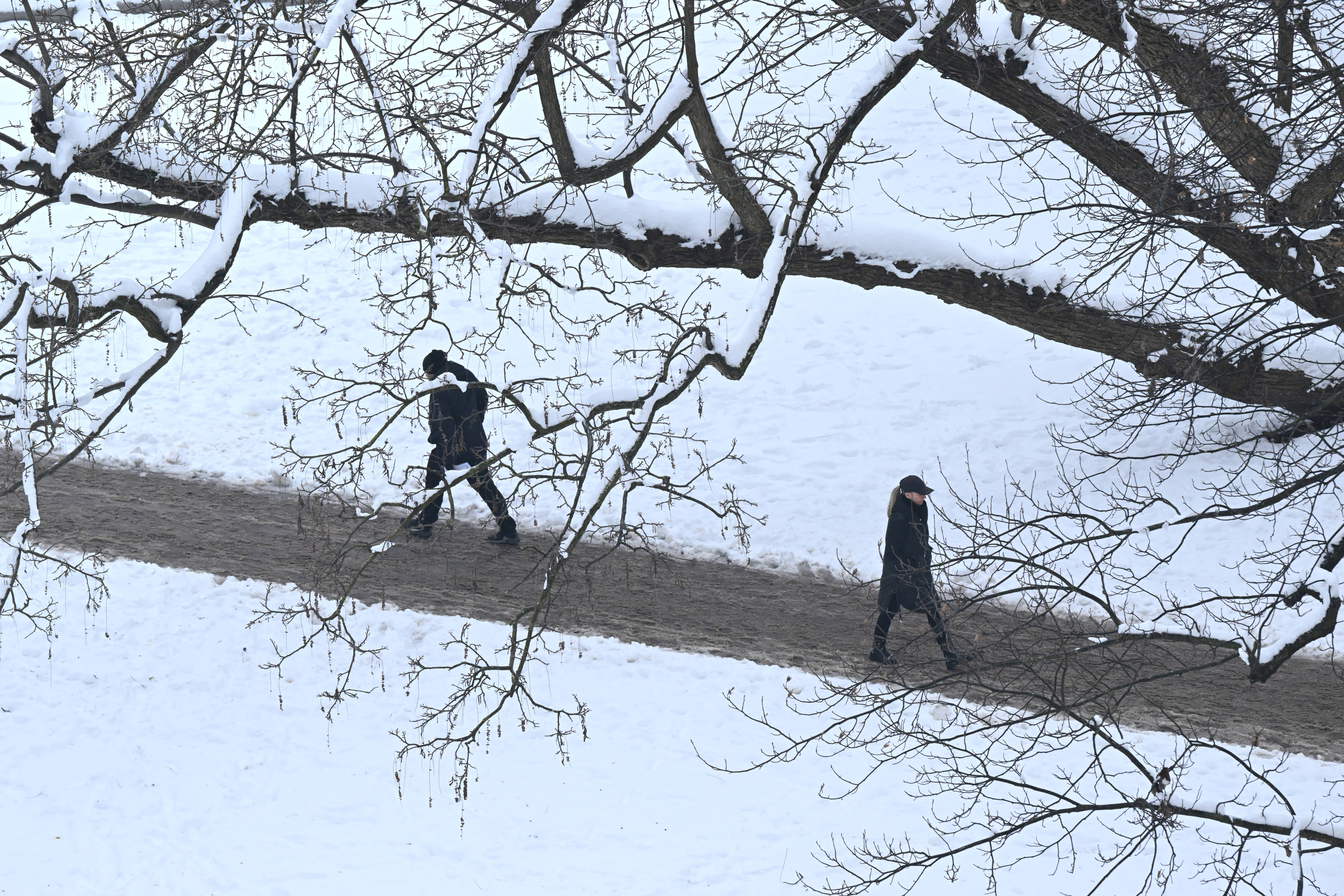 Sneg, Ljubljana, 9. januar 2026