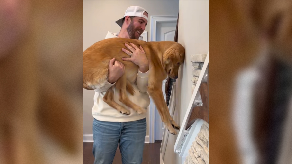 test pasje inteligence