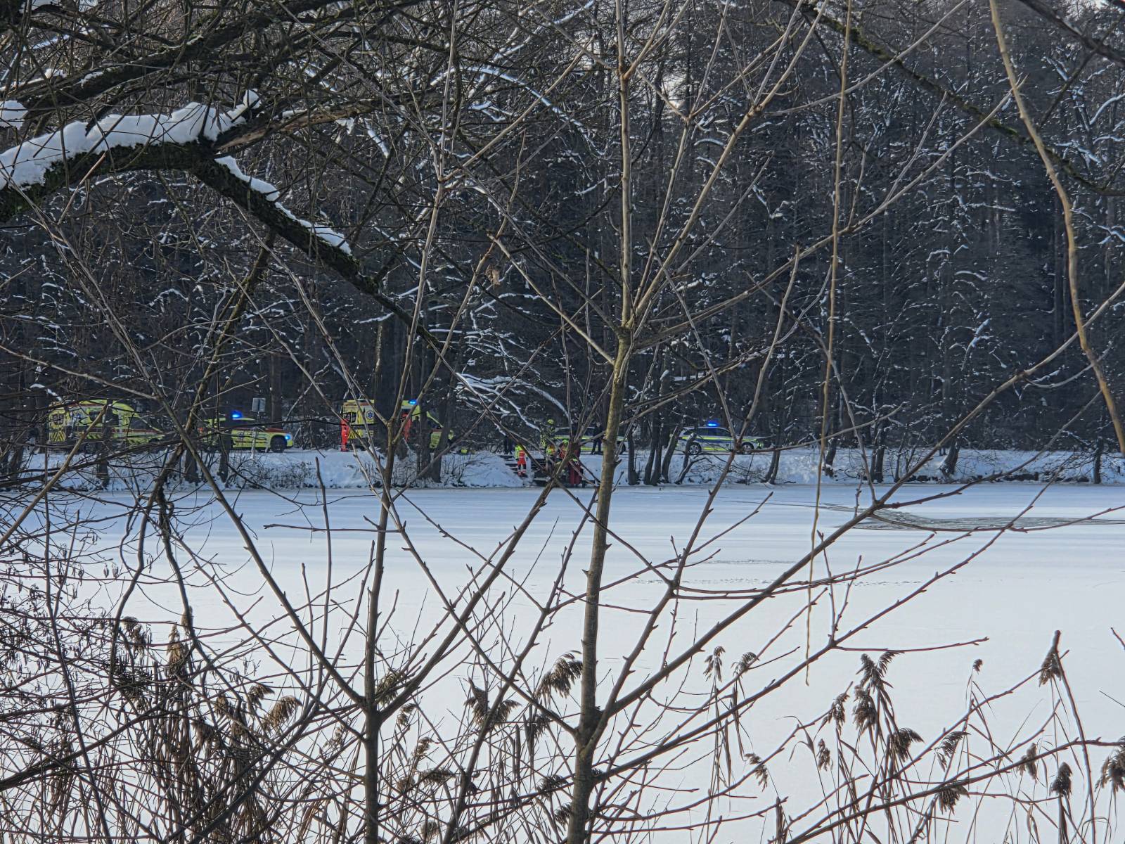 Koseški bajer, 11. januar 2026